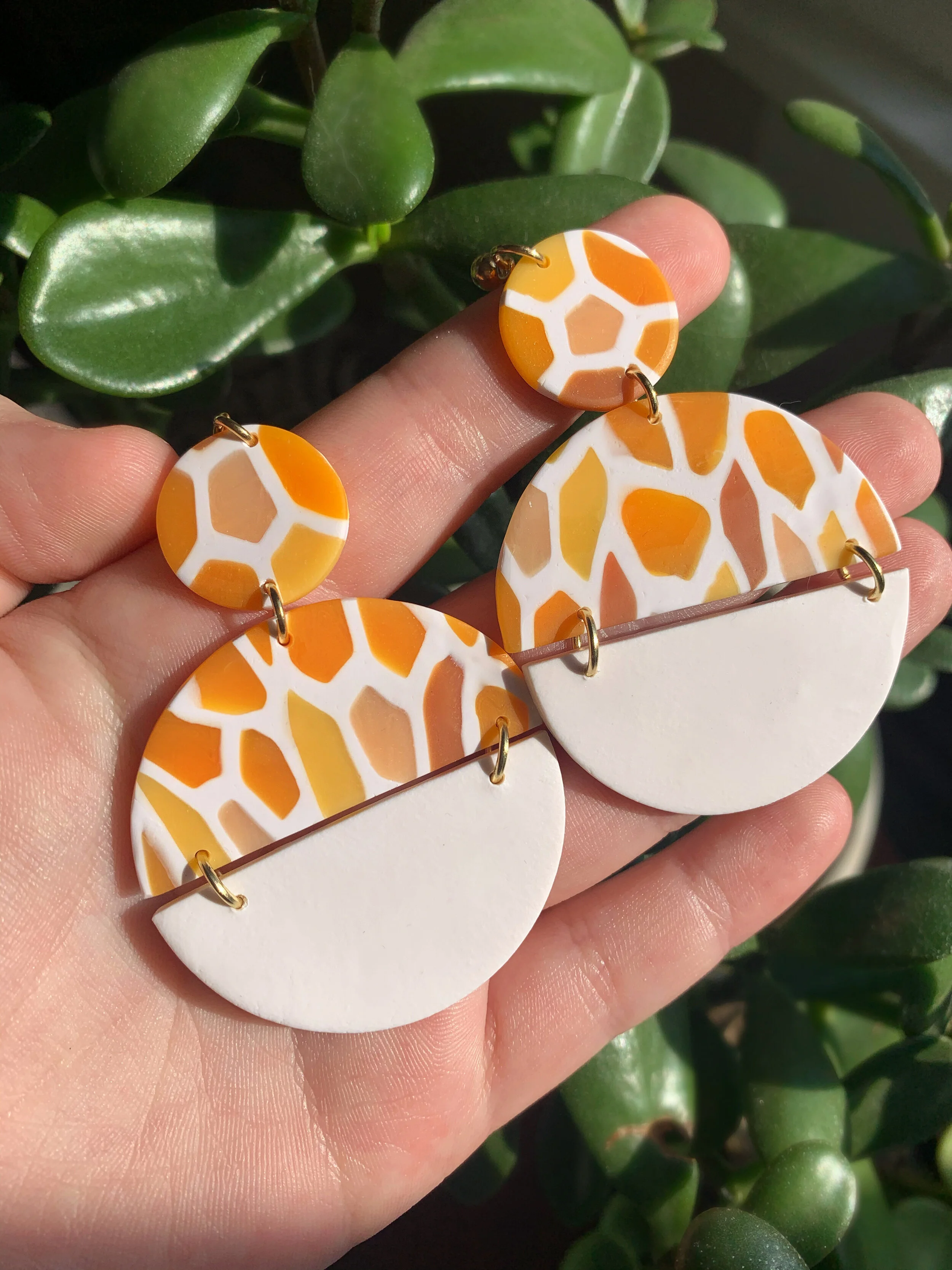 AfterlightImage 245.JPG