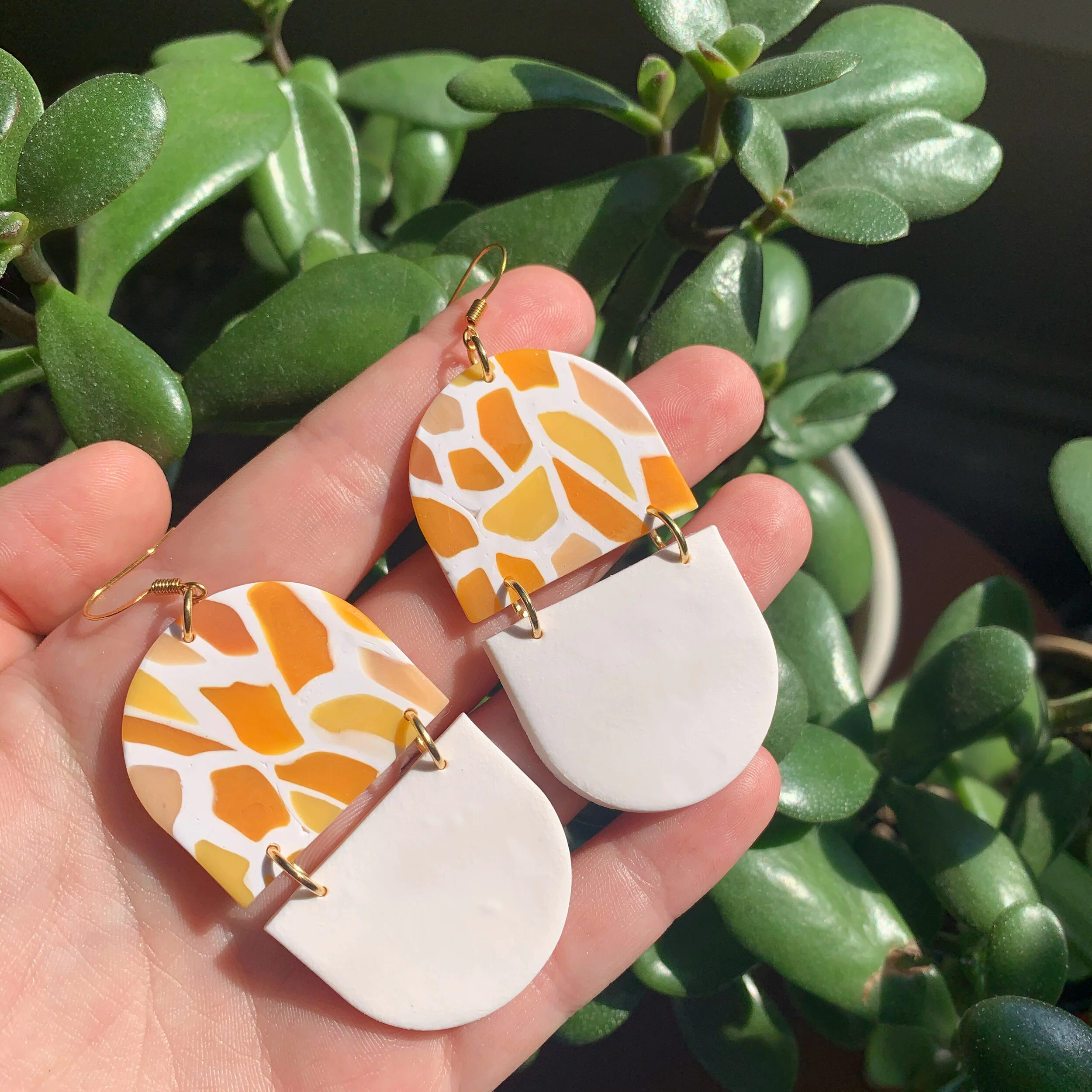 AfterlightImage 279.JPG