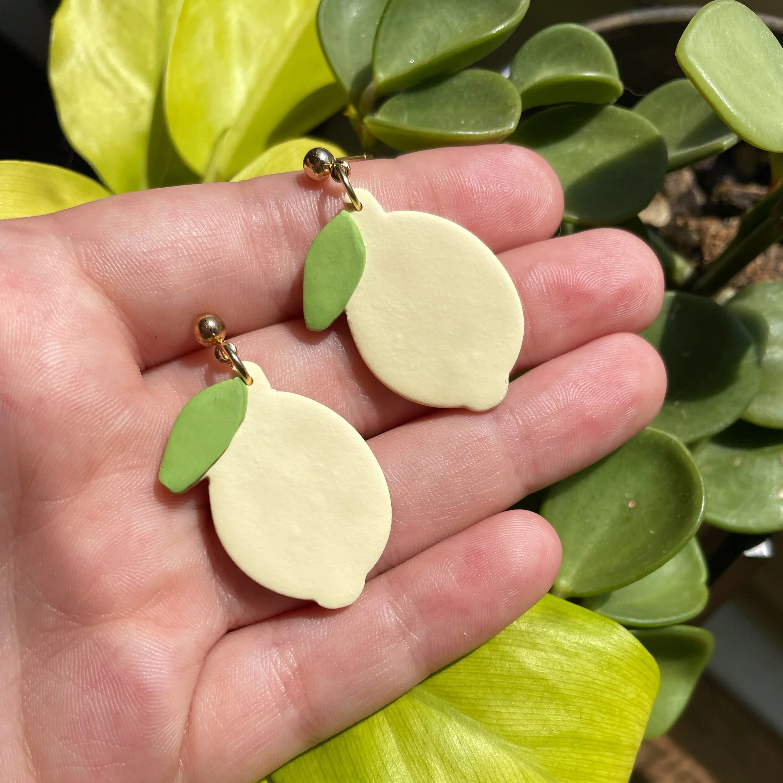 7148CF71-3A2D-4AE6-827C-DEF2038FB55A