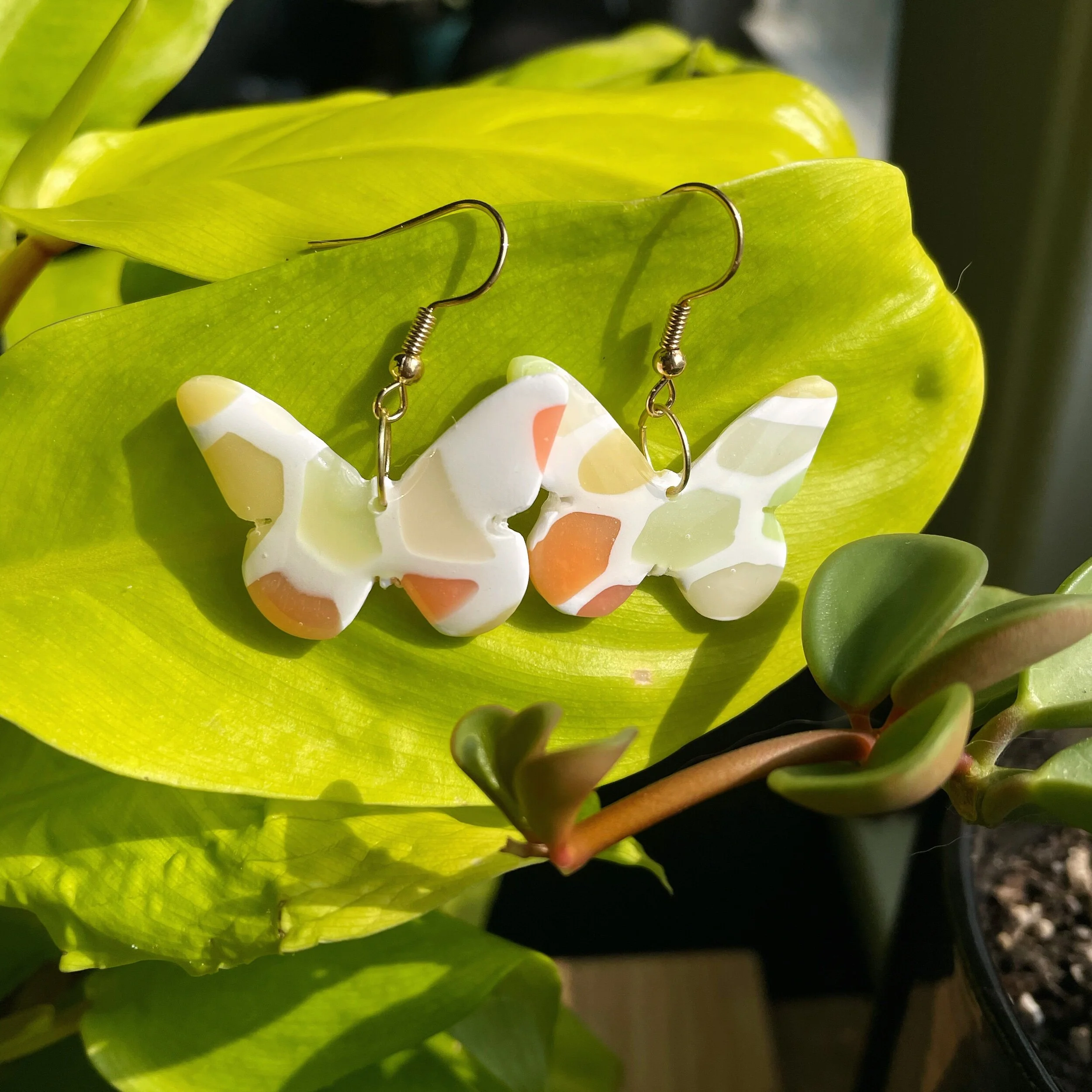 256AA678-E09F-4411-8757-1951353E5F02