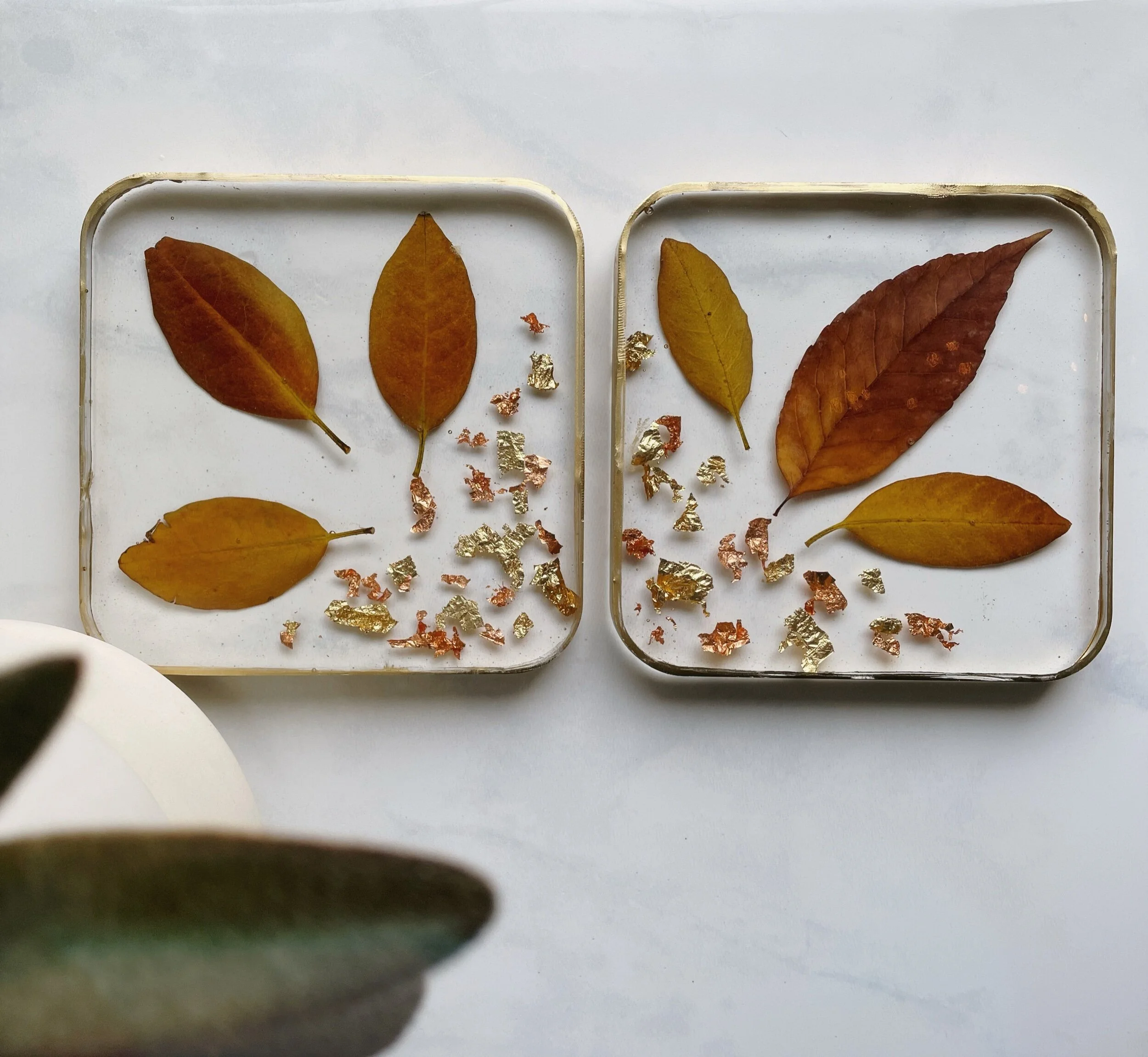 C61706DB-48D7-4628-A7FC-672E8BA87475