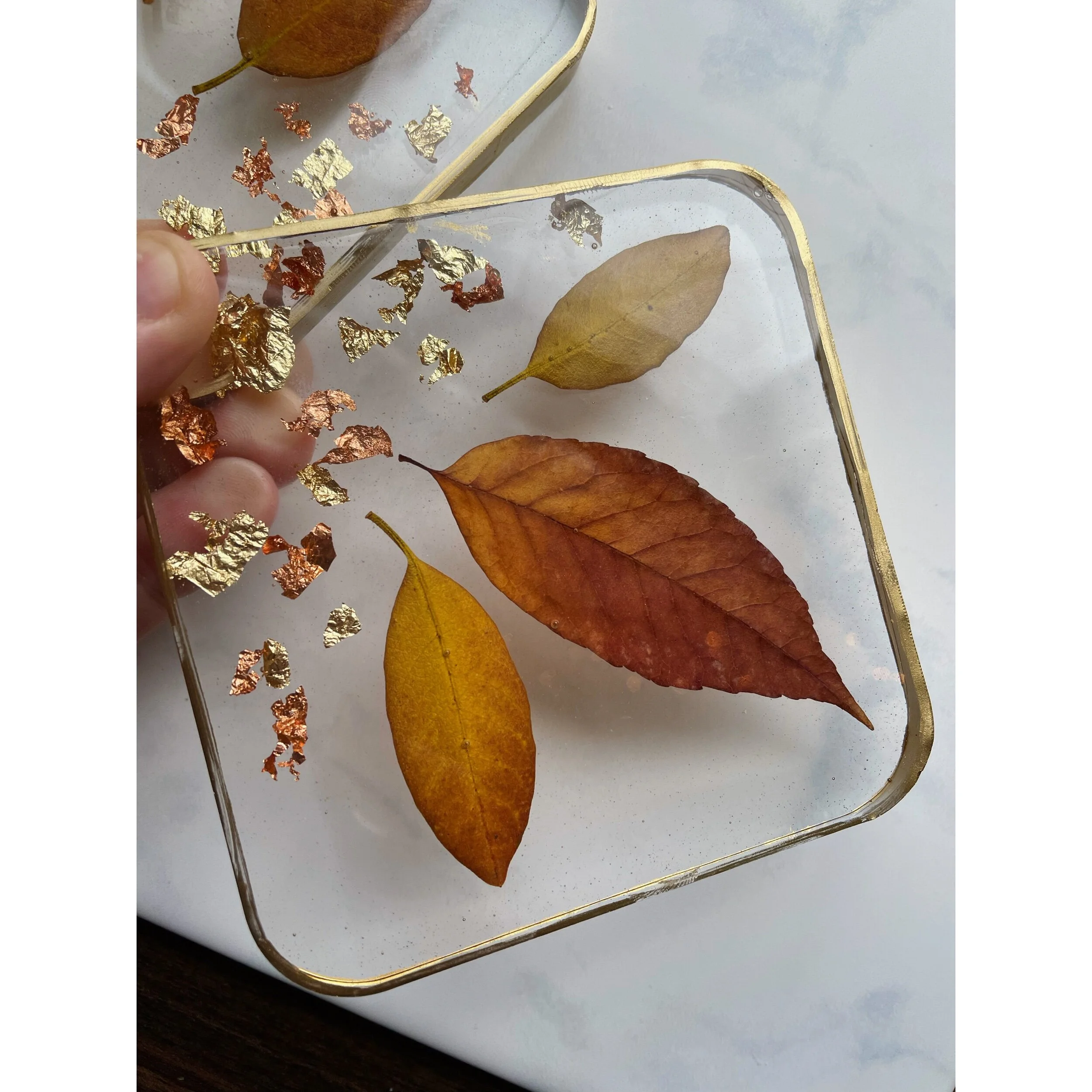 C3D3D270-76C9-4178-AD0B-FD9DED77FED5