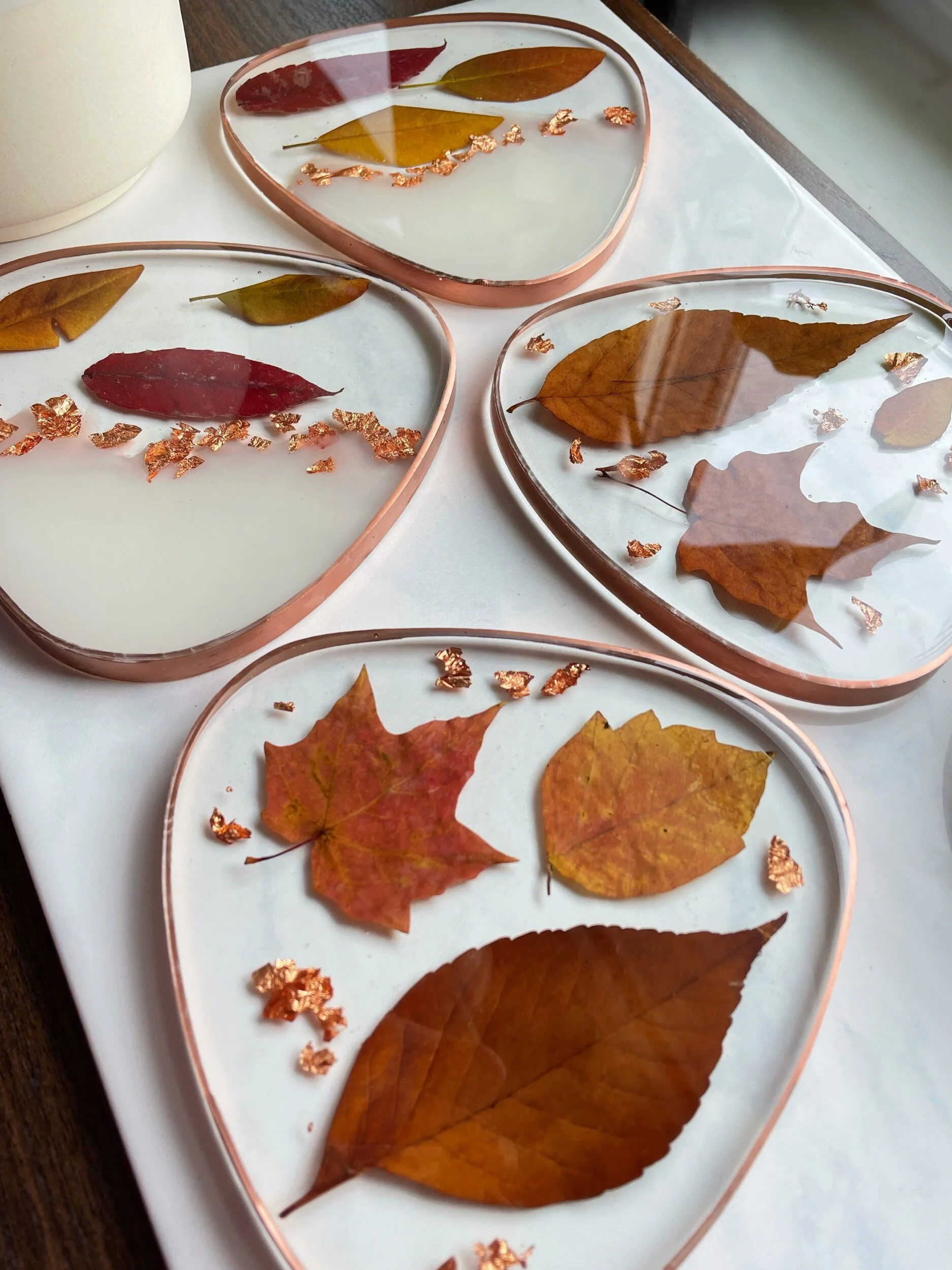 F4FCE94C-5DF6-42E6-BA79-278DC528EB95