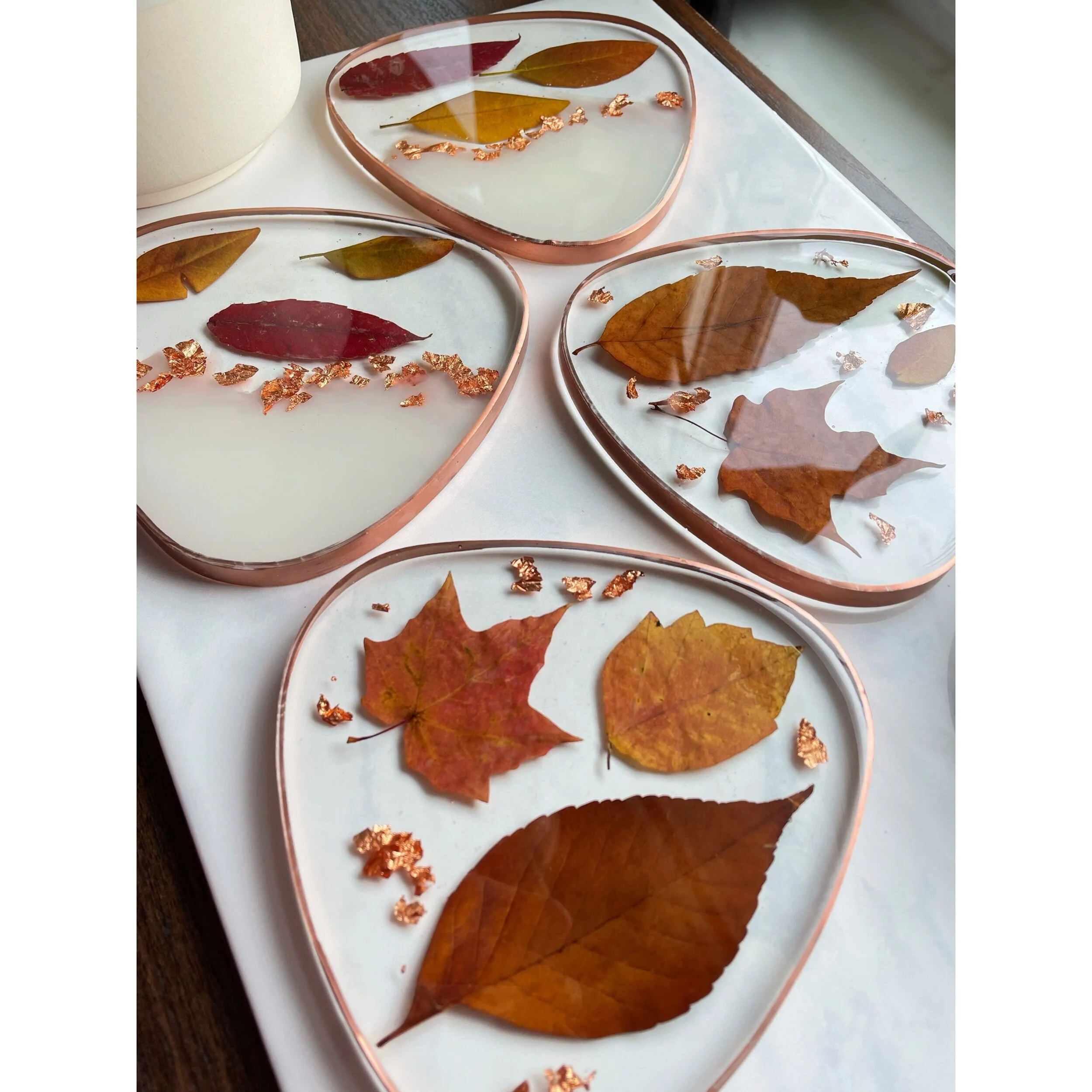 1DB1262C-A1EE-4B9A-A084-42D25FE6D84A