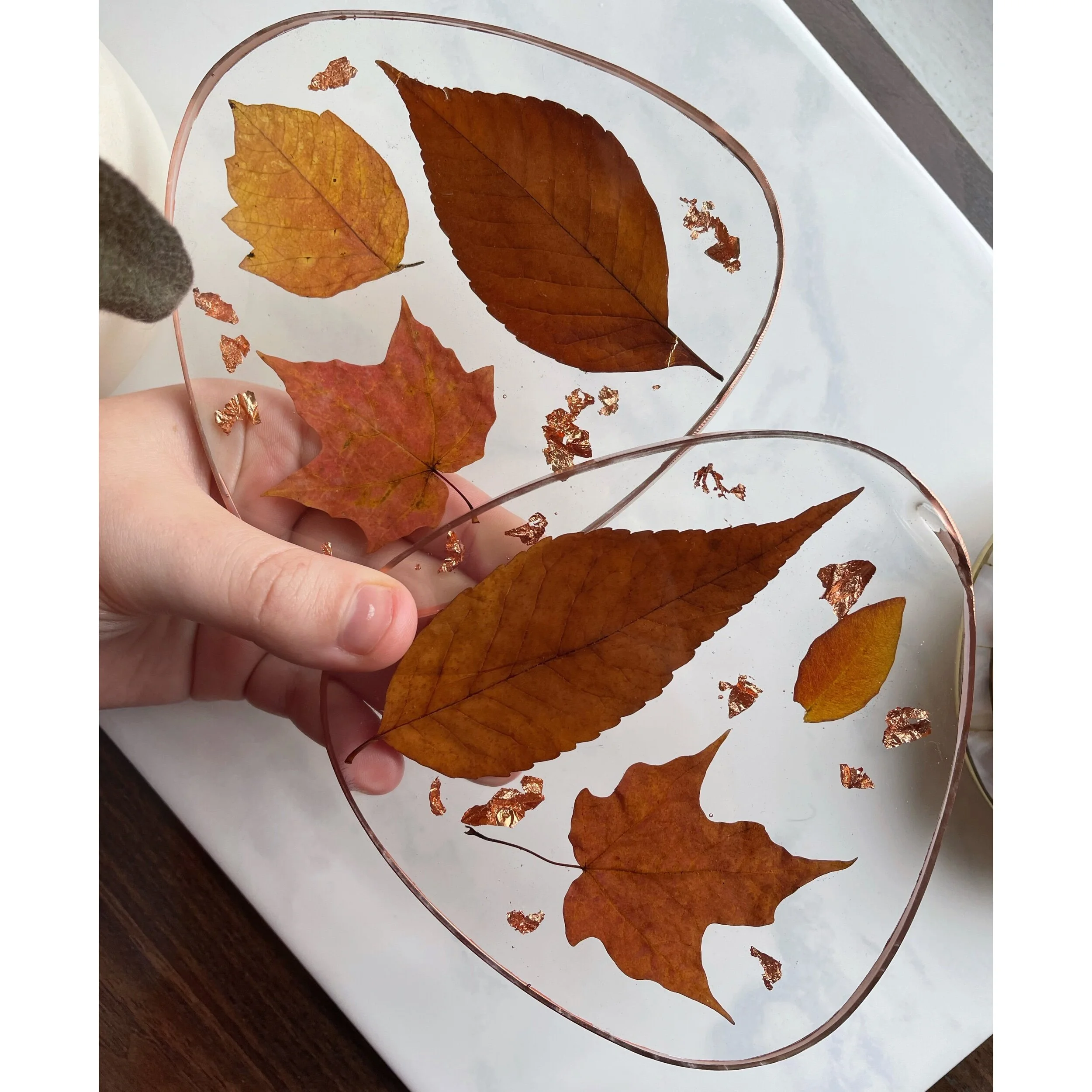 690114E2-16AE-429C-B260-A6E6A477DF26