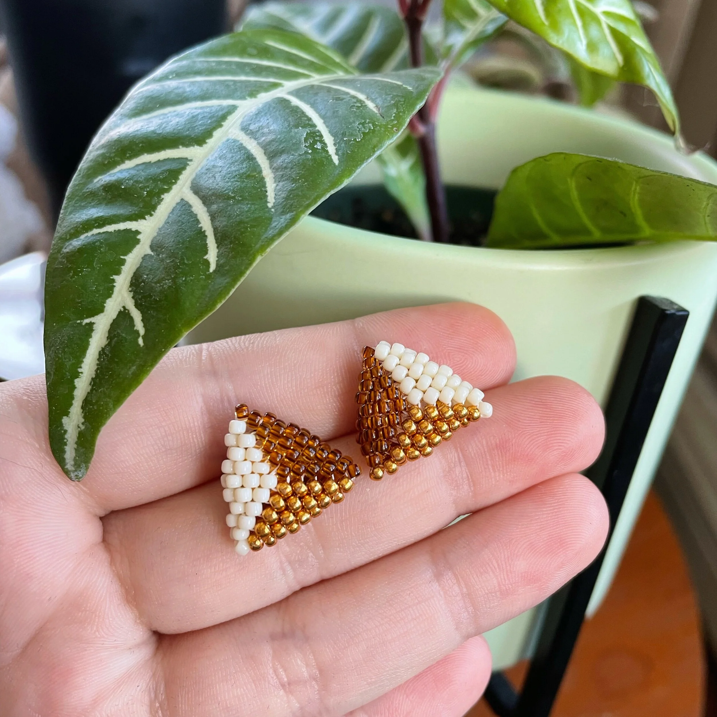 9B05FA02-D043-4A17-864F-708E90B0BD1B