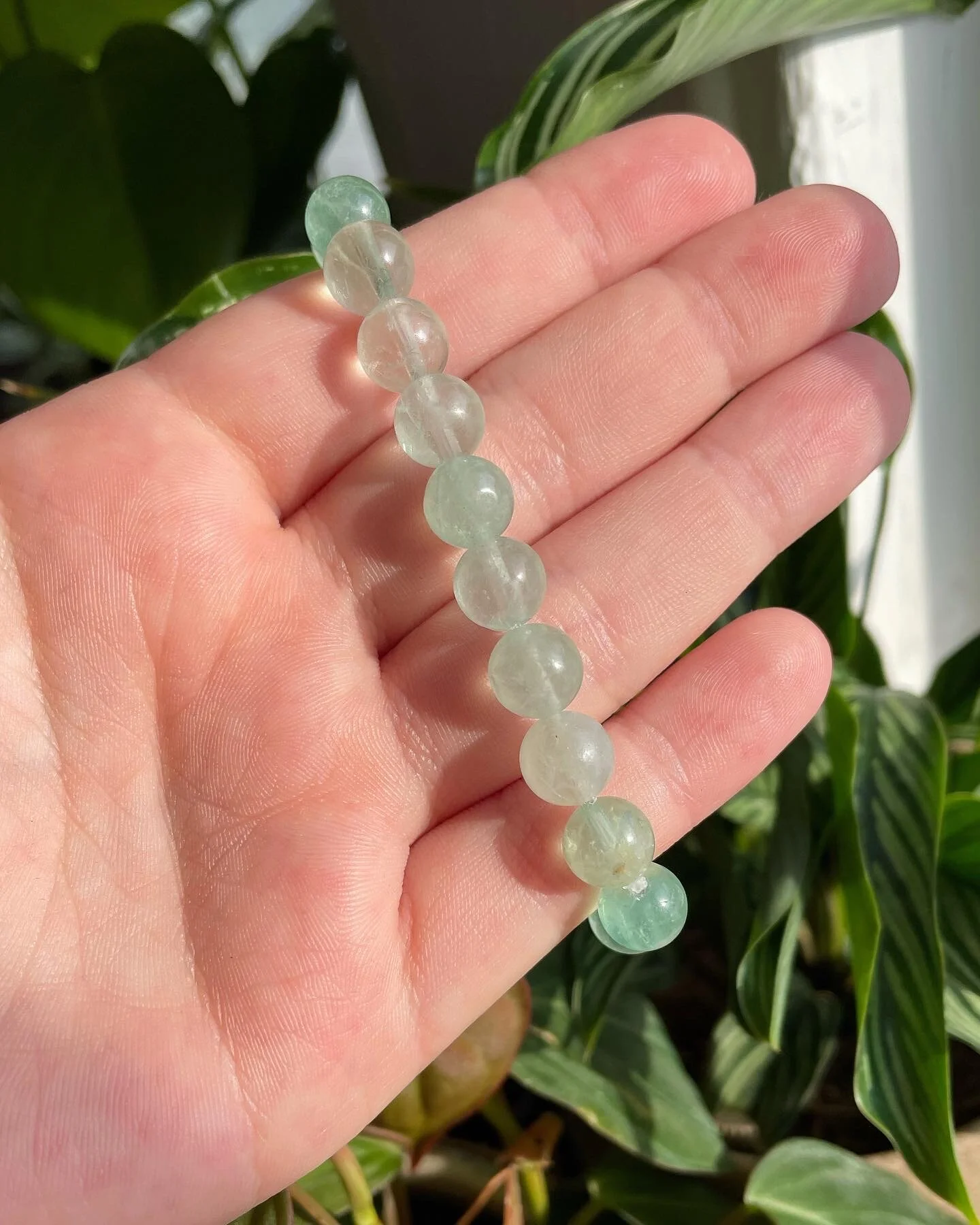 BCCA5649-A284-4CC9-AF76-D39C276679CC