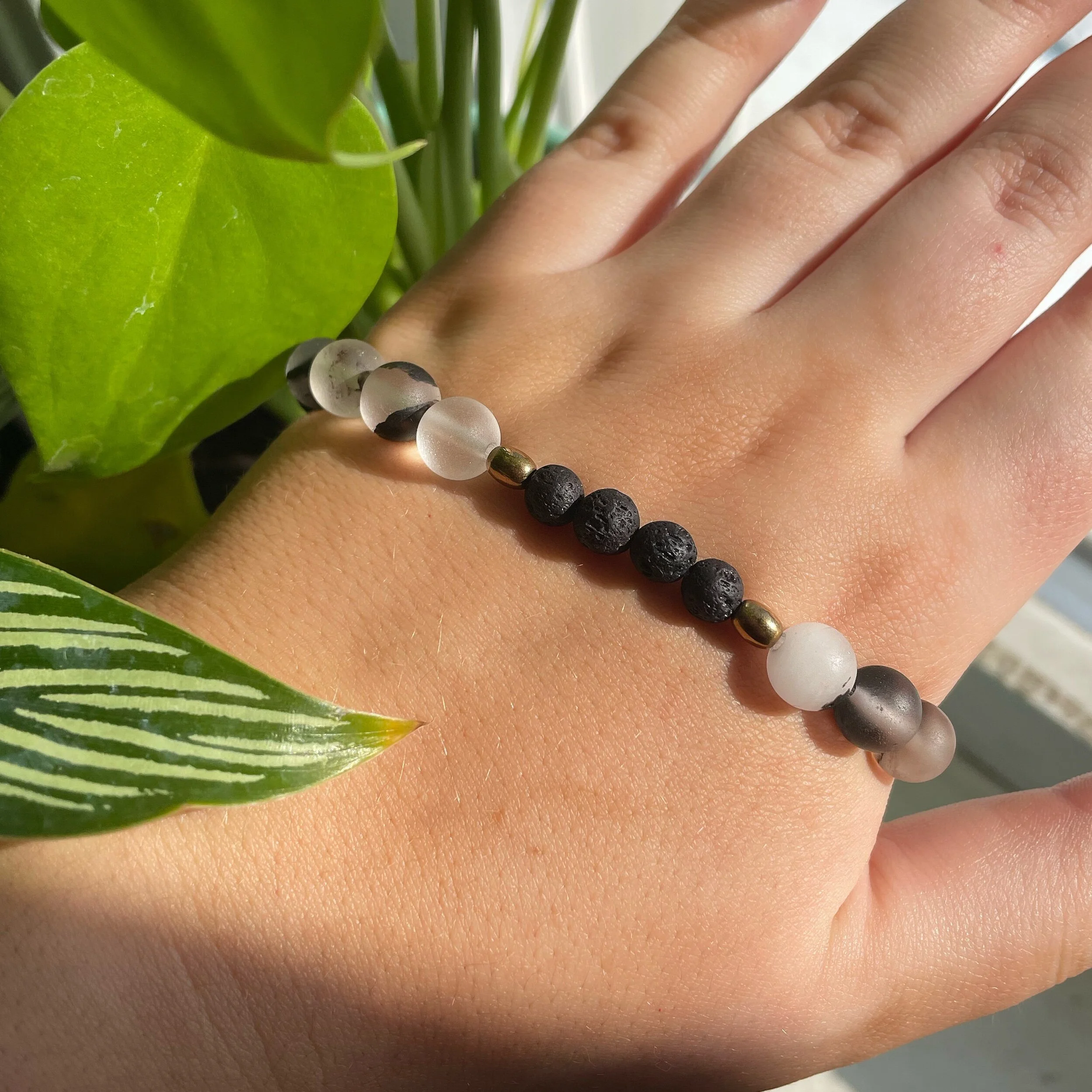 113F13D9-CA5E-4343-8DDA-50033FF4012A