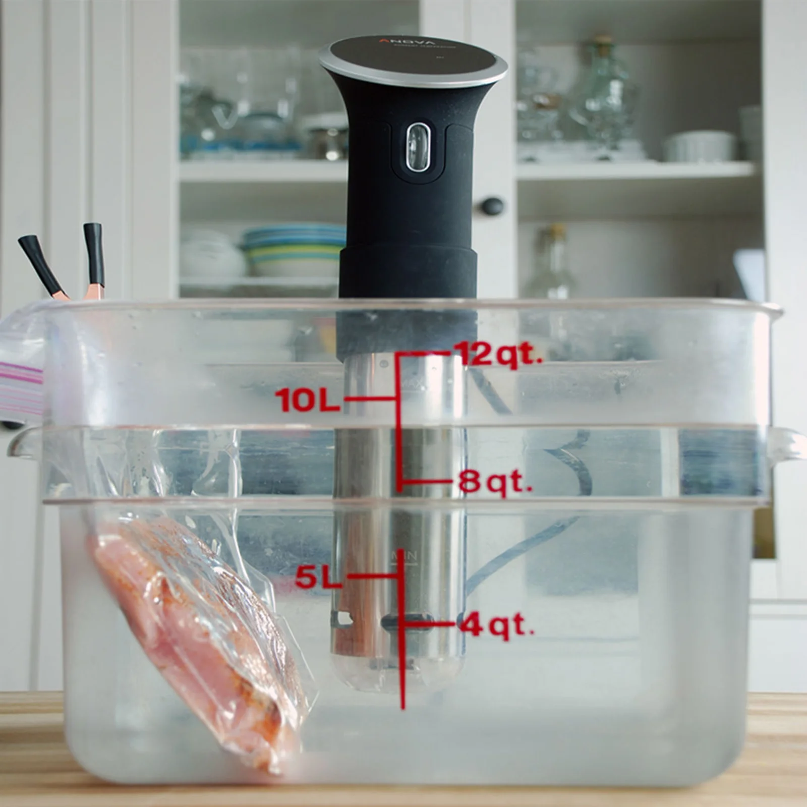 Anova Wifi (2nd Generation).jpg