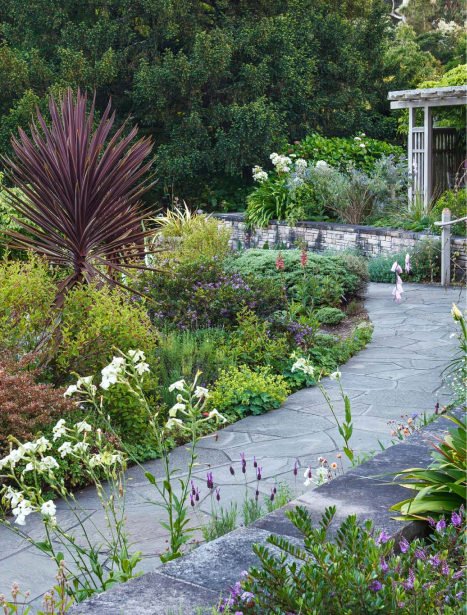 SF Botanical Garden 3.jpeg