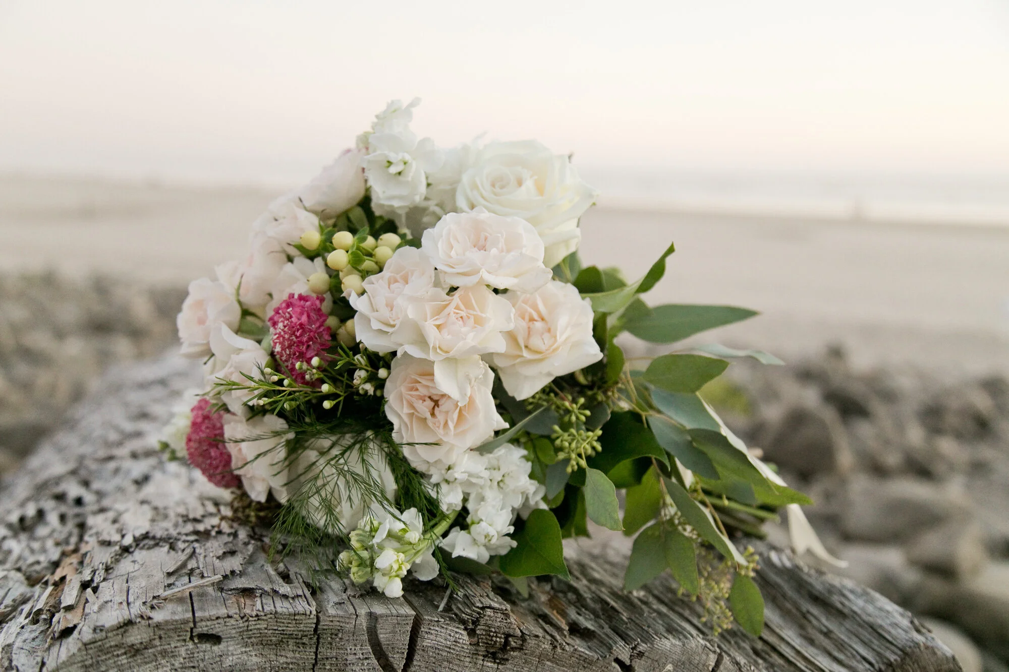 Elopement-Ceremony-Manzanita-Oregon-Coast-DanRice20_042.jpg