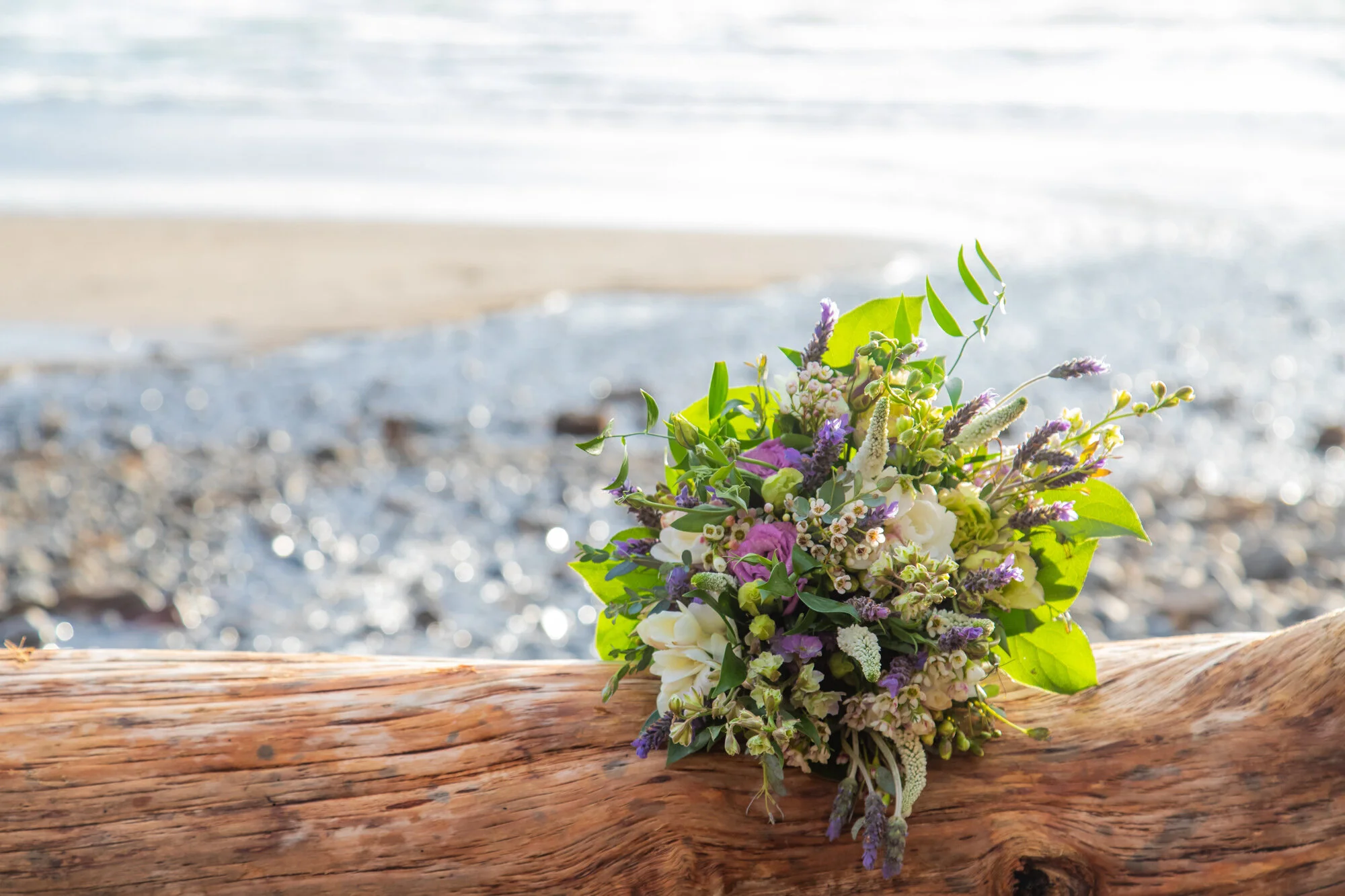 EcolaStatePark-IndianBeach-Elopement-DanRice-March2021_049.jpg
