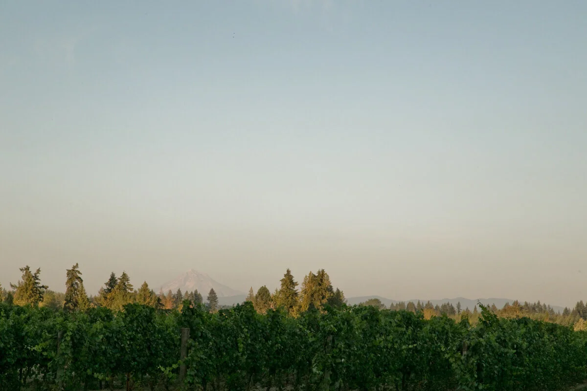 Postlewait'sCountryWeddings-DanRice-Portland-Photographer21_152.jpg