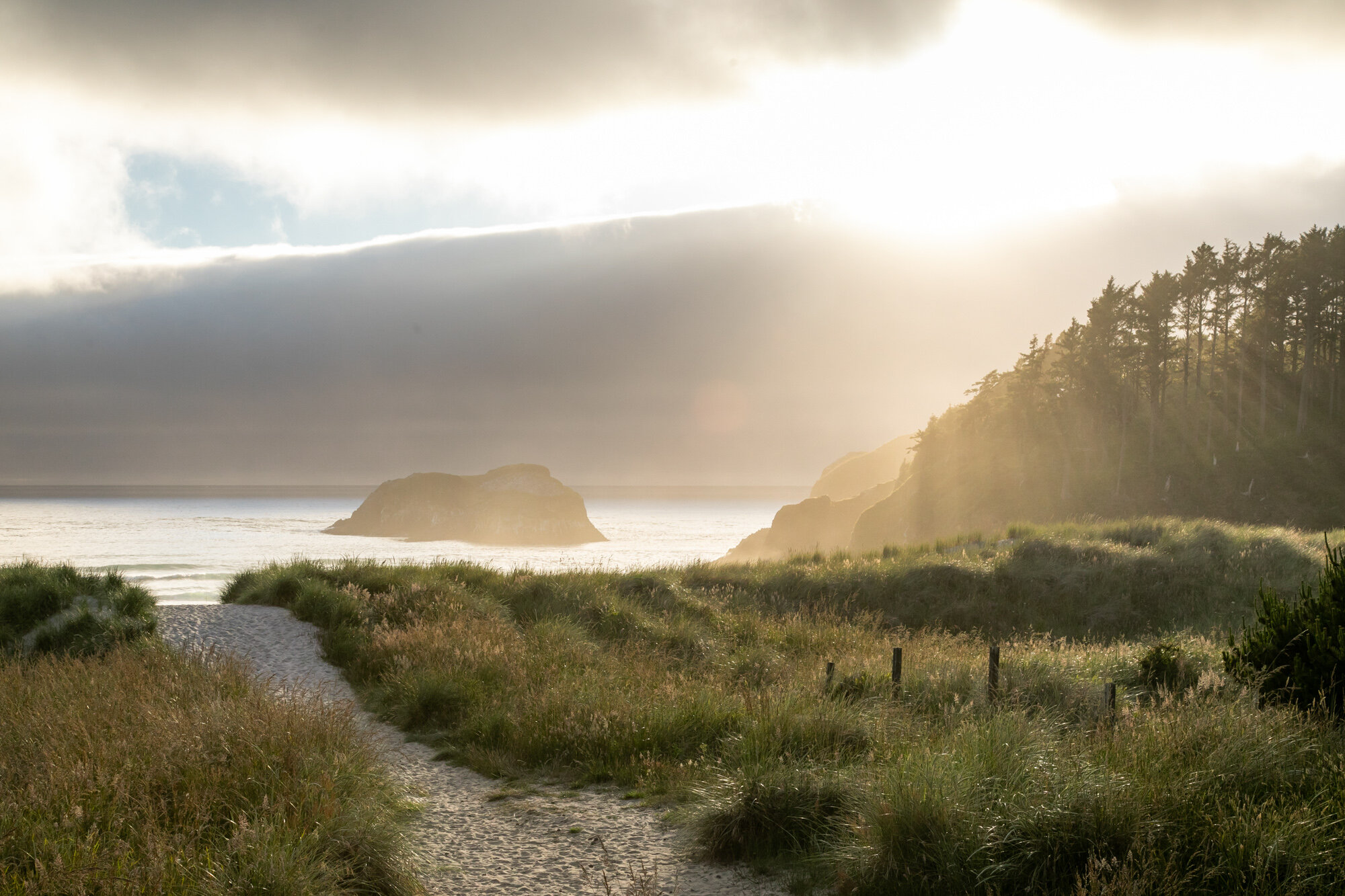 CannonBeach-Family-Photography-DanRice-Aug2021_001.jpg