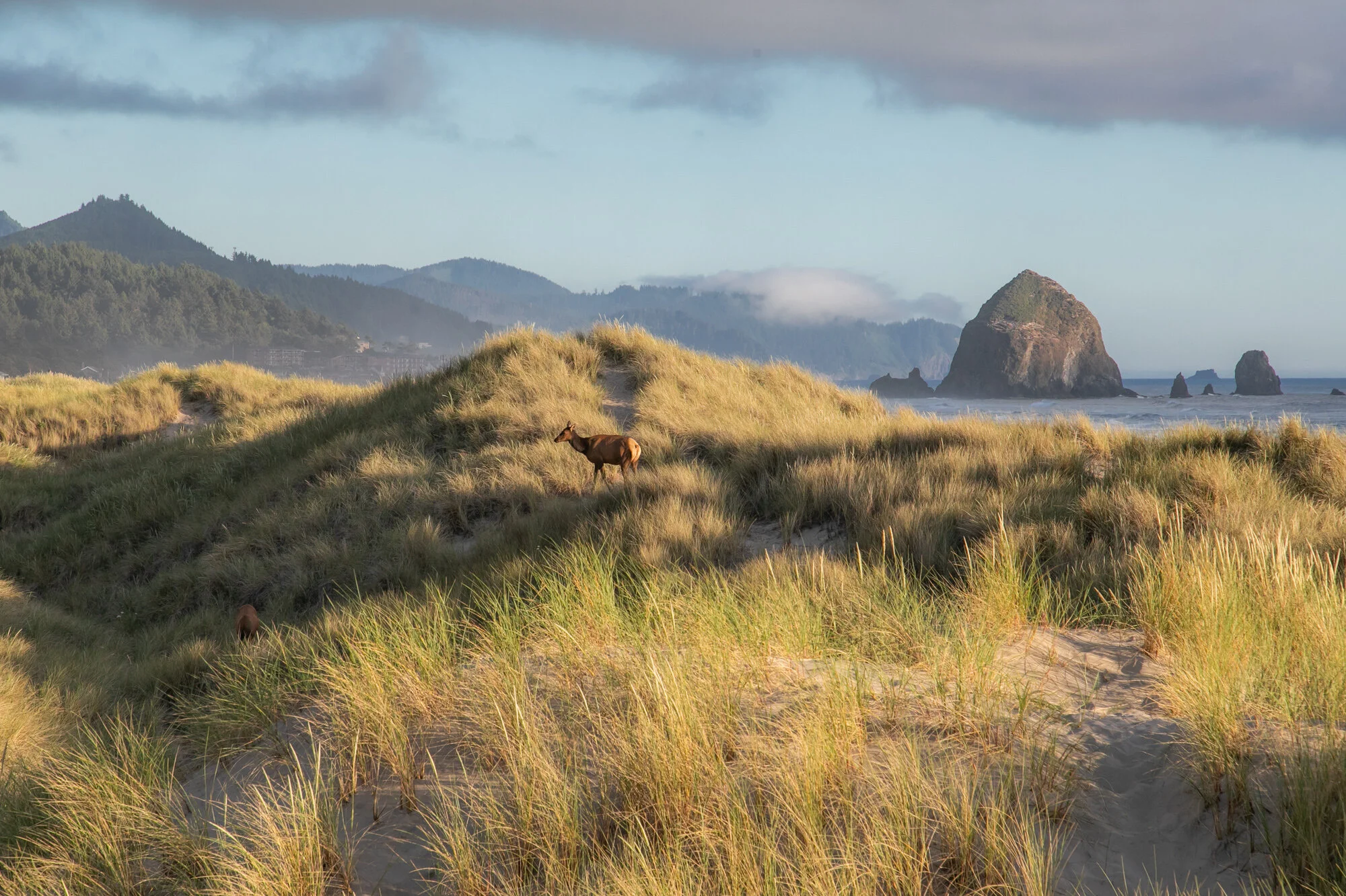 CannonBeach-Family-Photography-DanRice-Aug2021_002.jpg