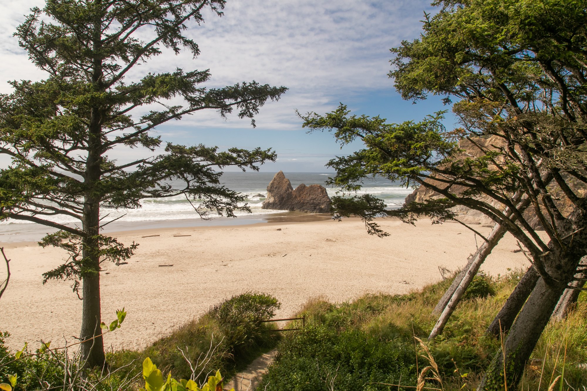 OregonCoast-Elopement-Photographer-Arcadia-DanRice21-035.jpg