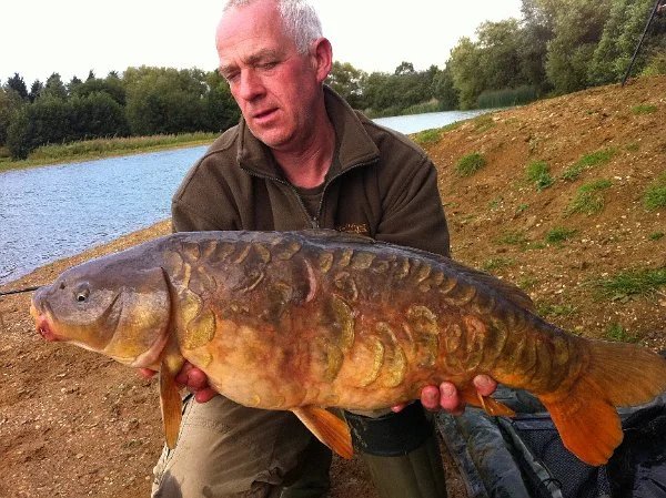 Carp2_Nov11.jpg