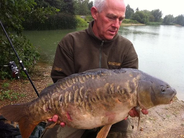 Carp_Nov.jpg