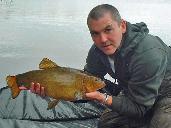 Tench8.jpg