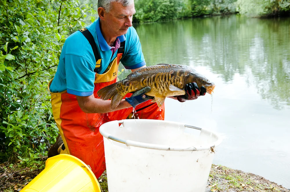 New Fish Added to Sibson Fisheries Lake