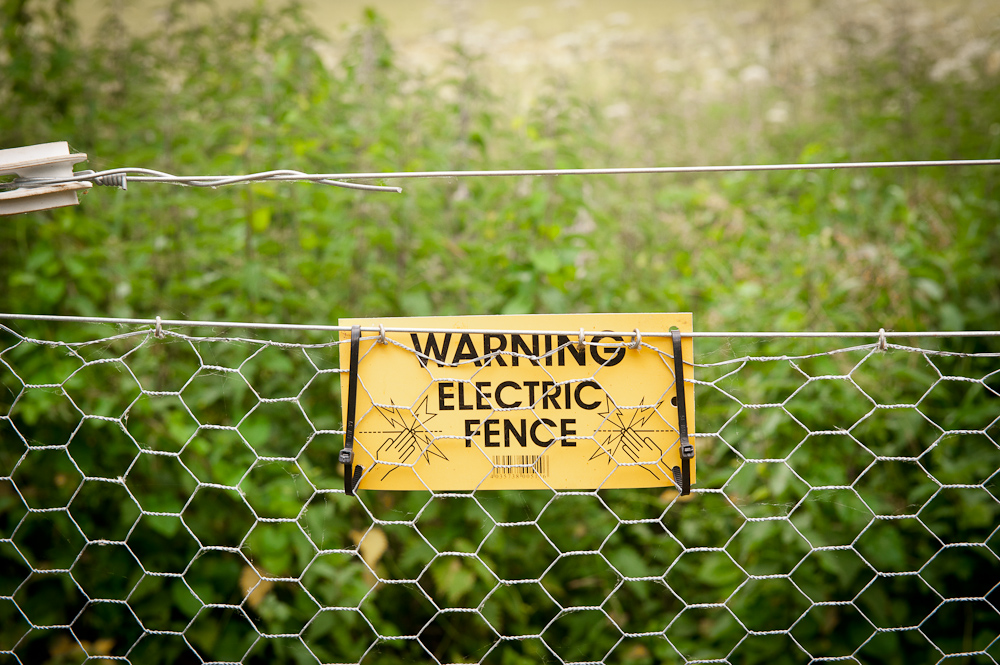 Sibson Fisheries Now Fully Fenced