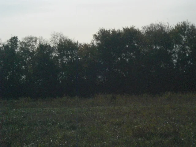 CIMG7972.JPG