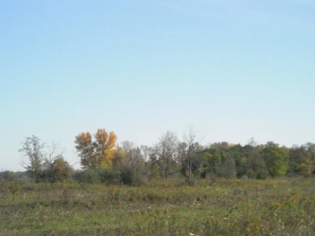 CIMG7978.JPG