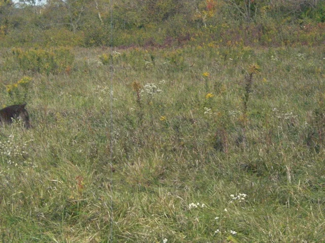 CIMG7989.JPG