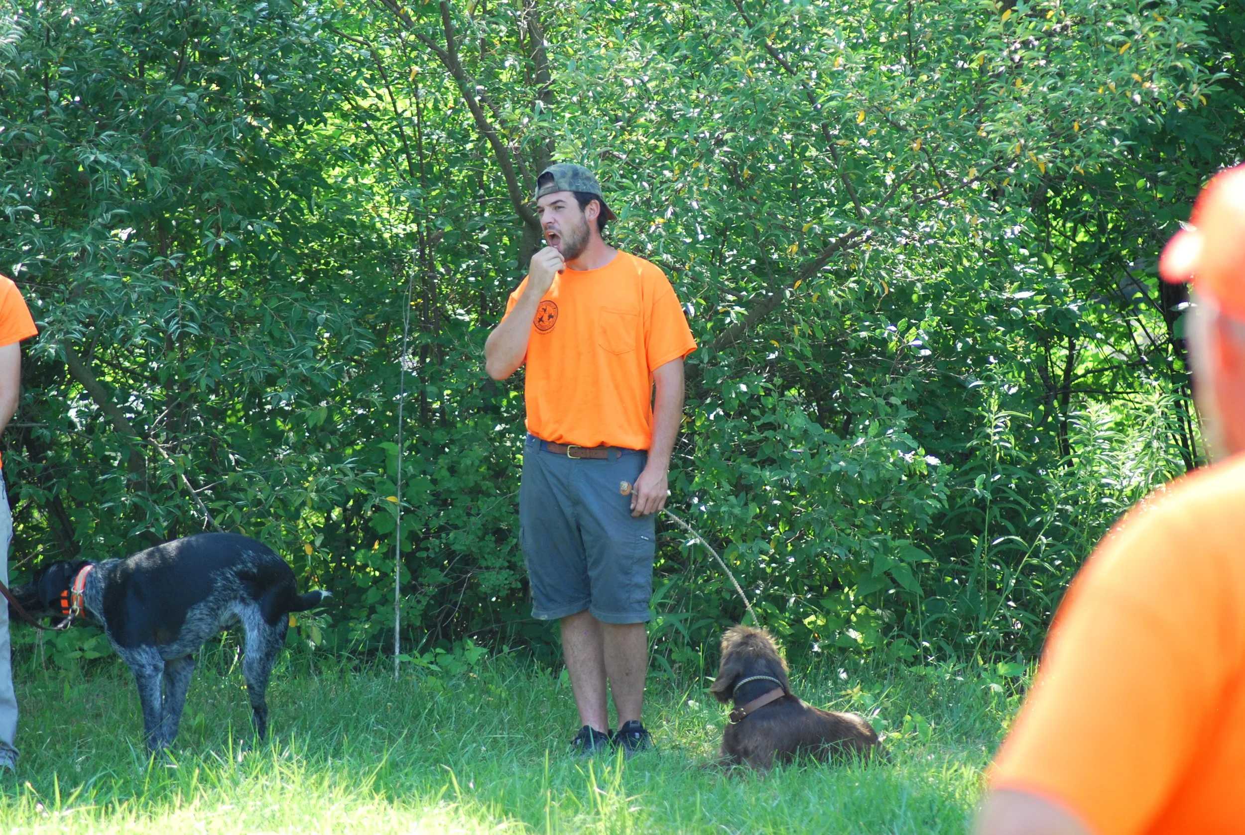 DSC_0846.JPG