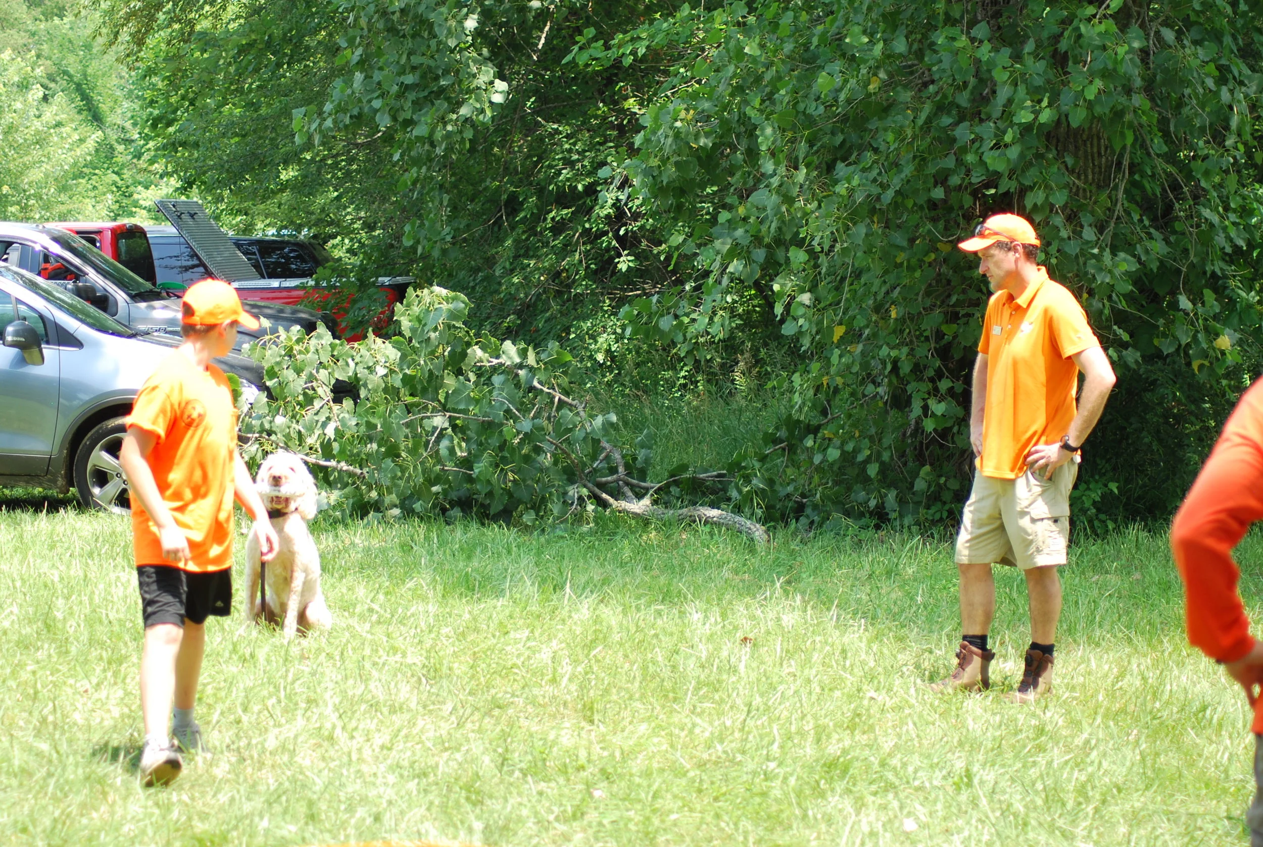 DSC_0918.JPG