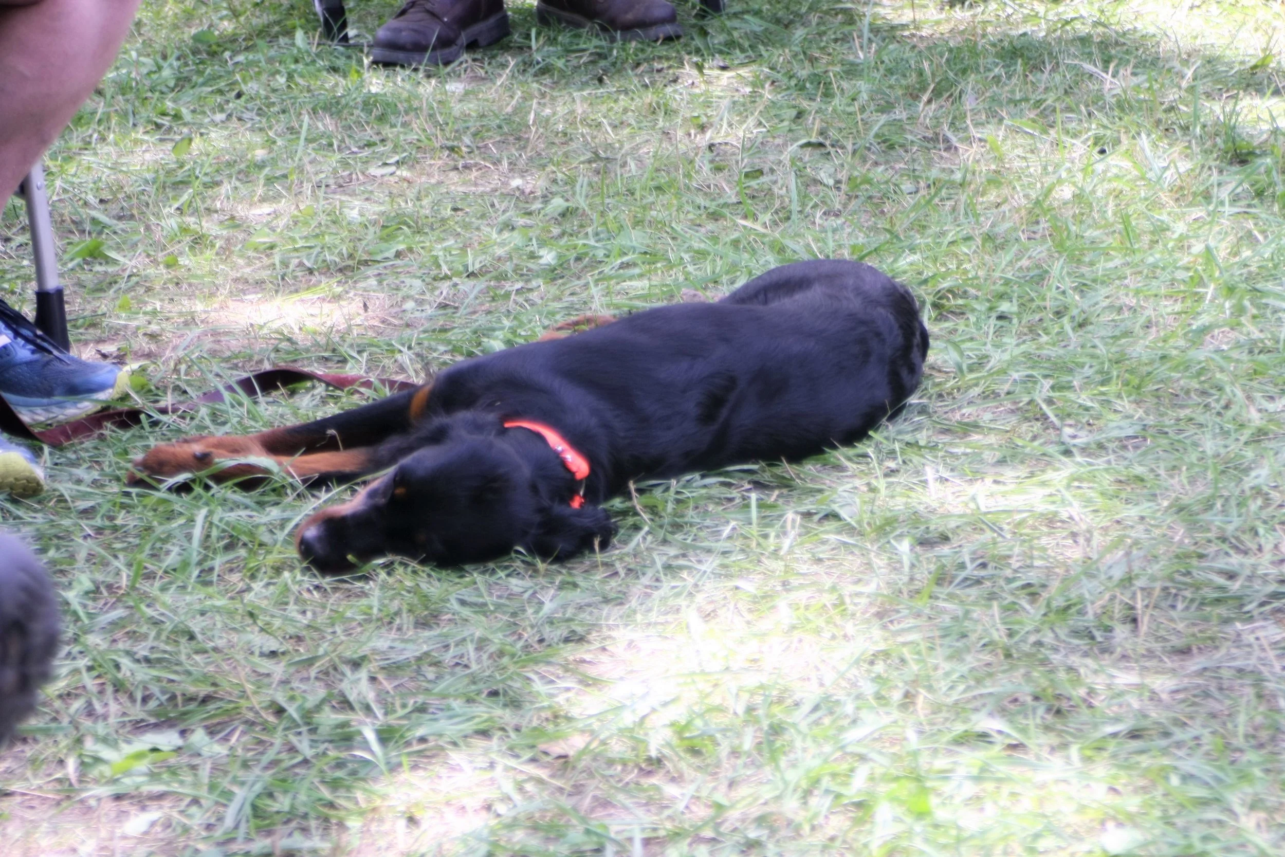 IMG_8215.JPG