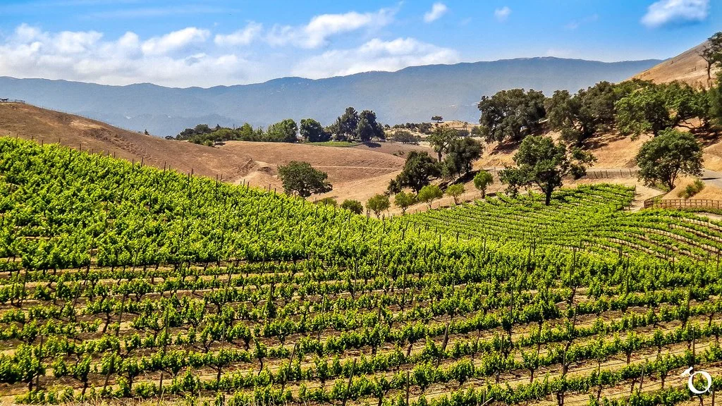 Ballard_Canyon_Fixed-1_Q_1024x1024.jpg
