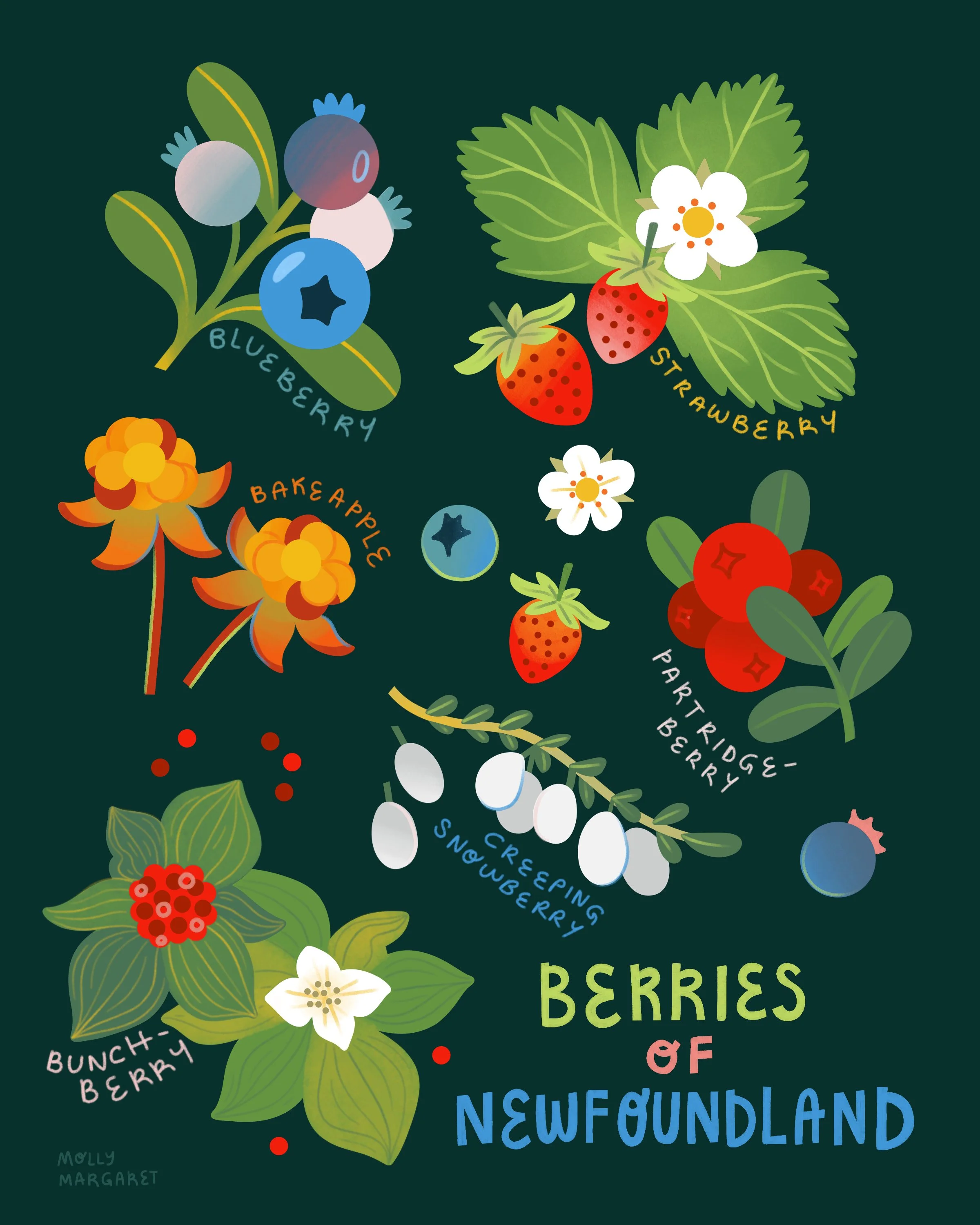Newfoundland Berries.jpg
