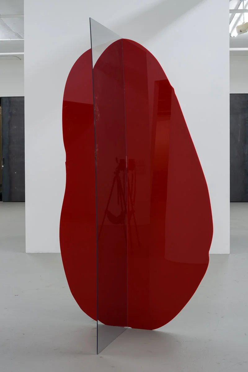 121317_red-mirror_002.jpg