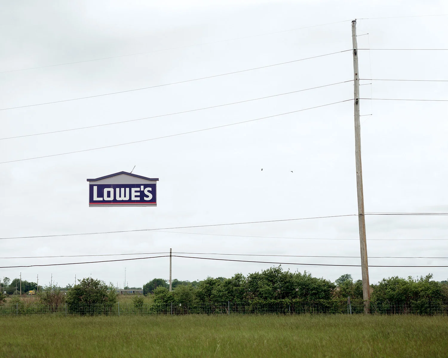 Lowes (2008)