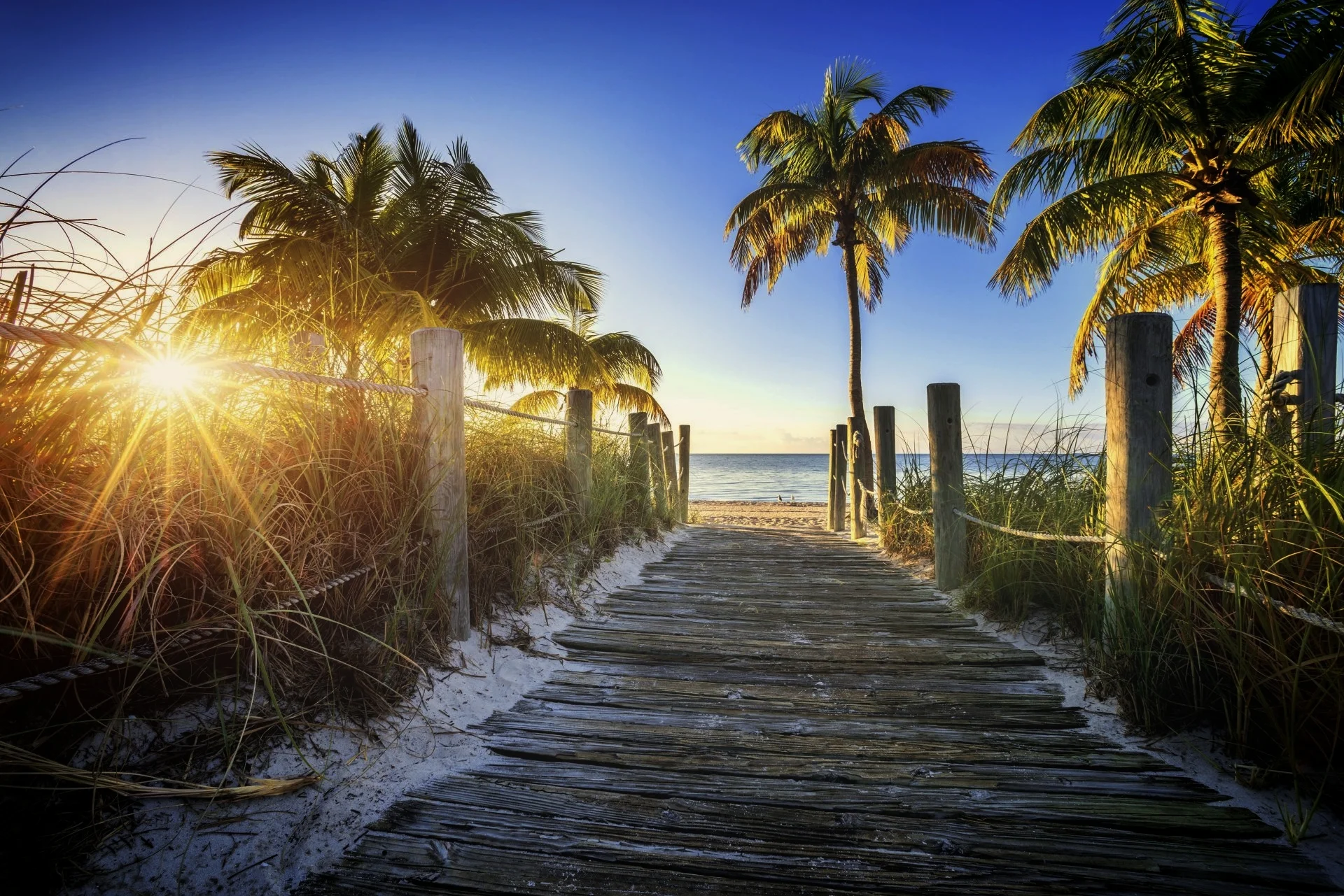 beach-palm-trail-sky-sun.jpg