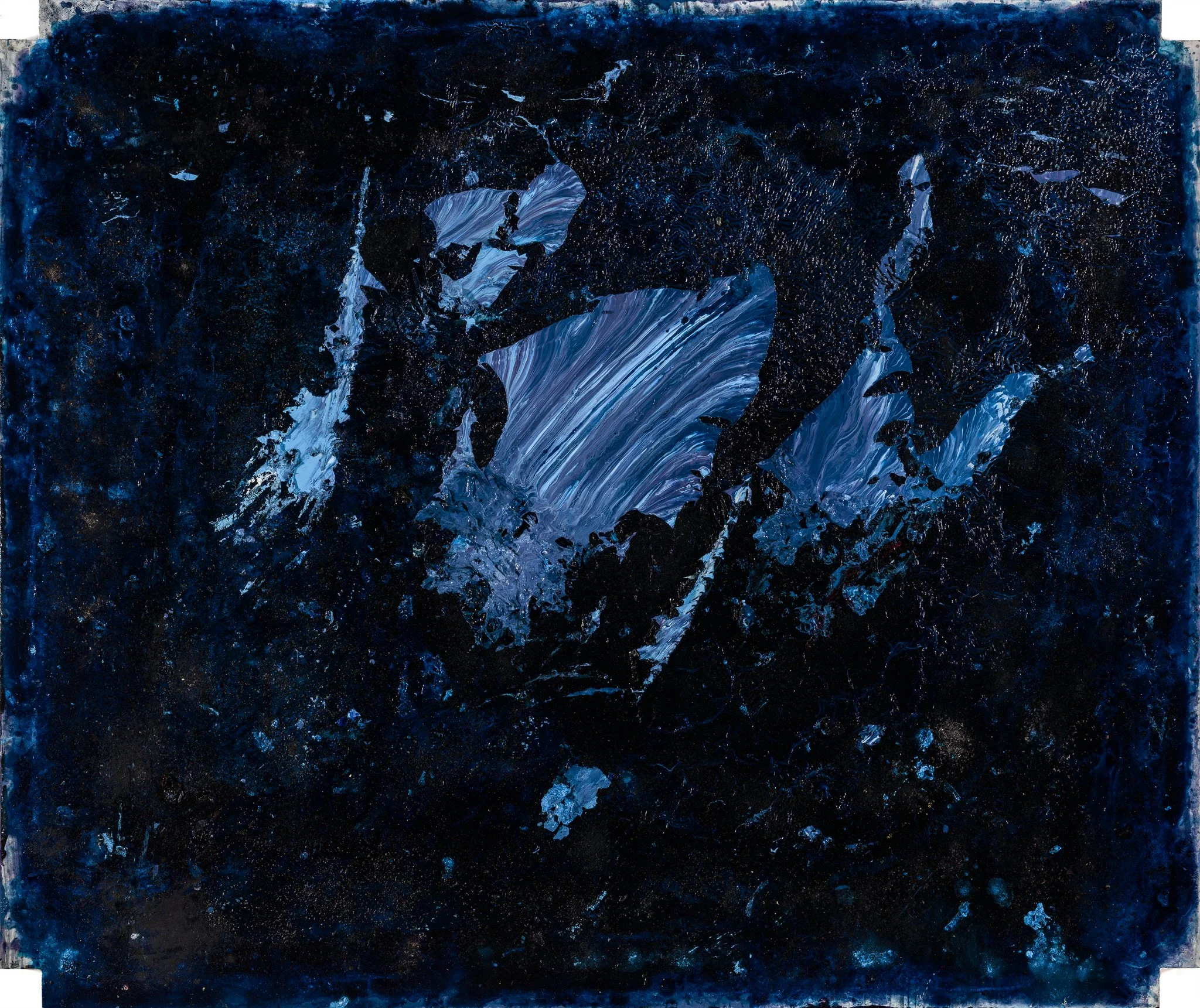 "Dolphins for Crystal"