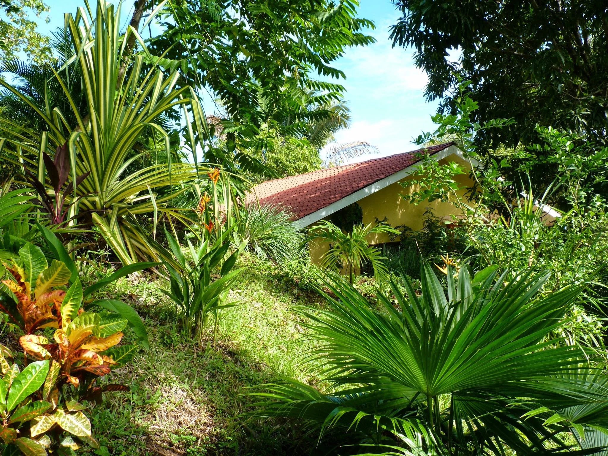 a view of the back of the cabina