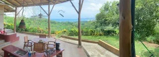 nancita 5.jpg