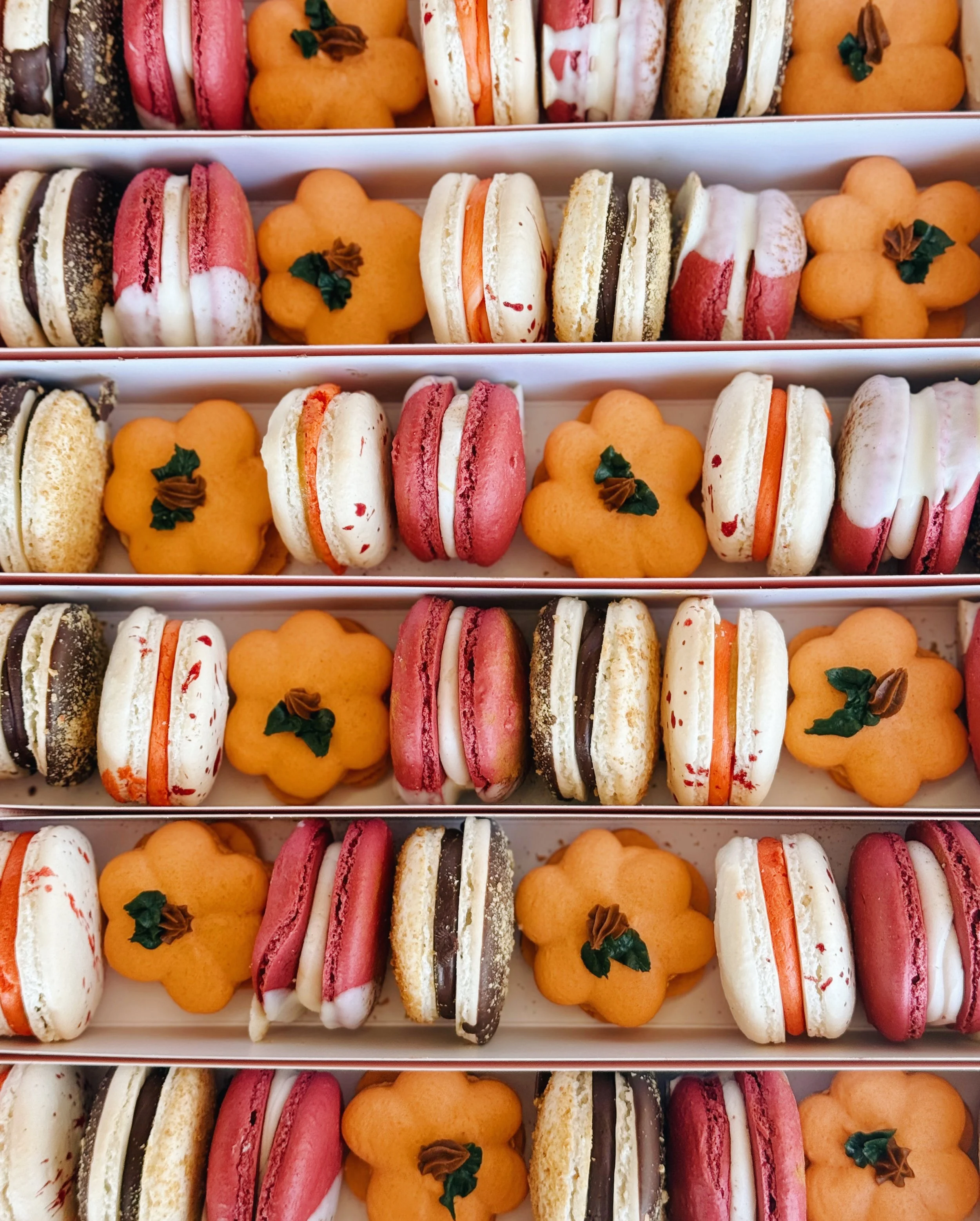 Fall Macaron sleeve