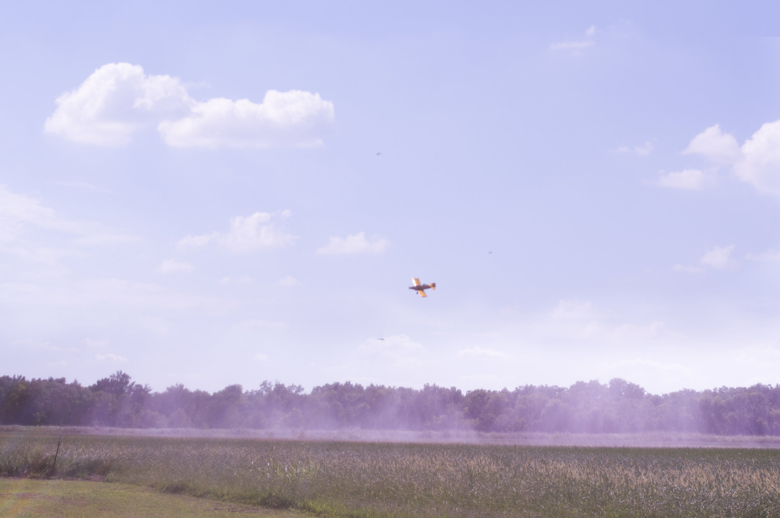 pink plane.jpg