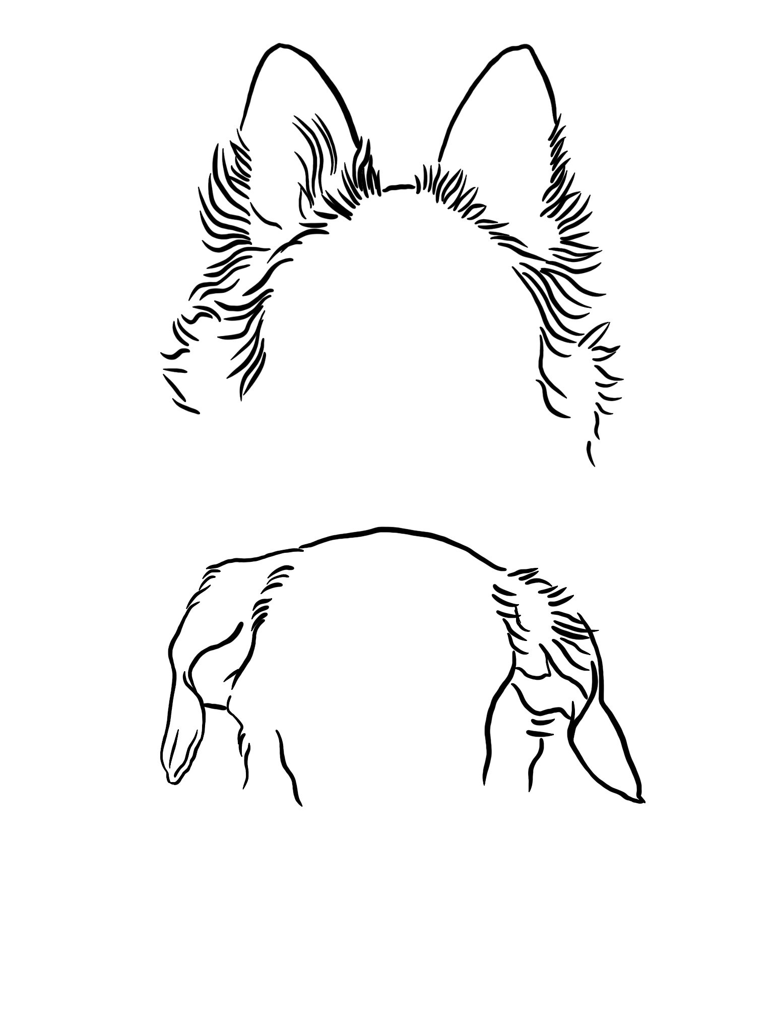 Untitled_Artwork 36.jpg