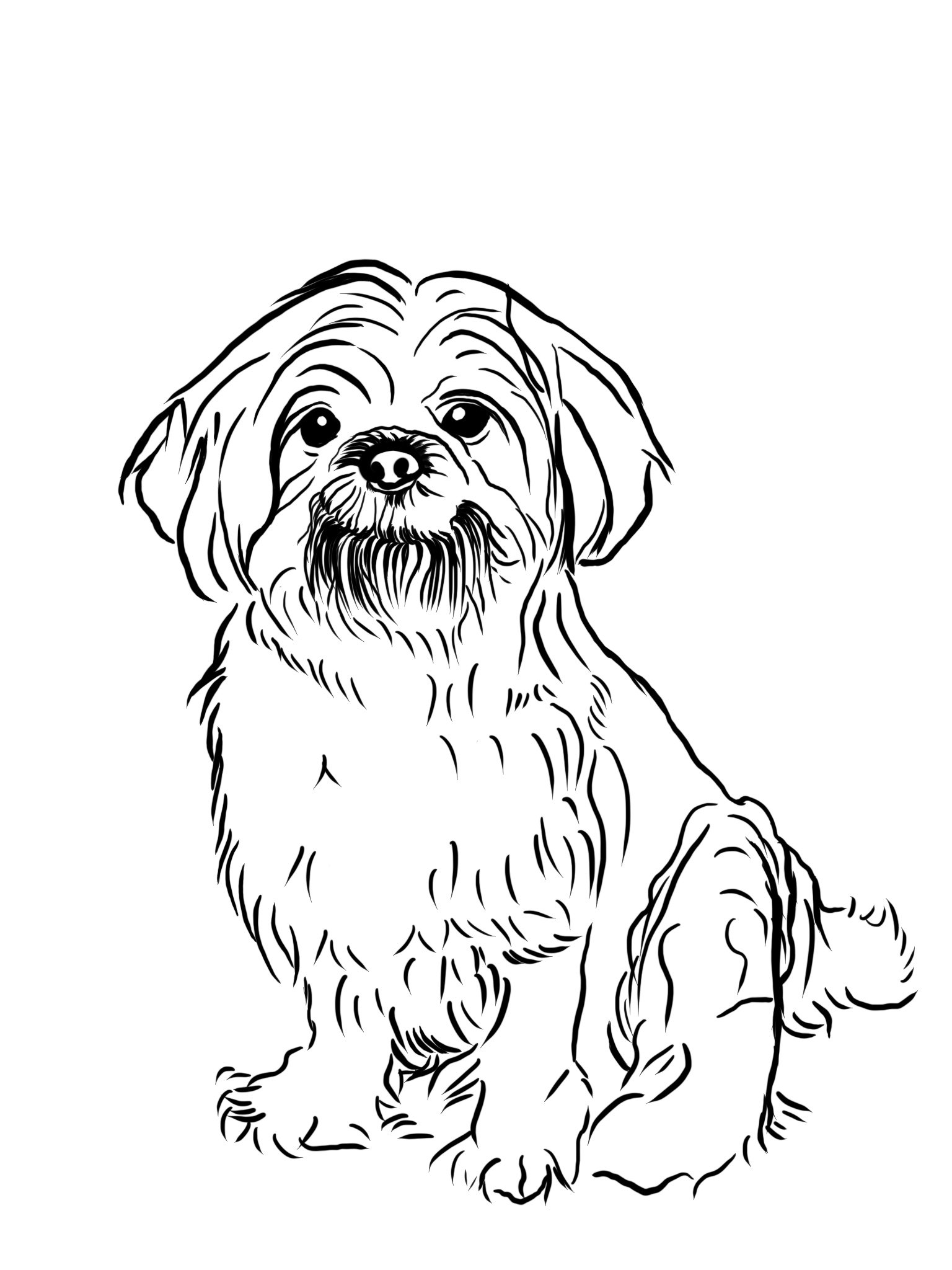 Untitled_Artwork 42.jpg