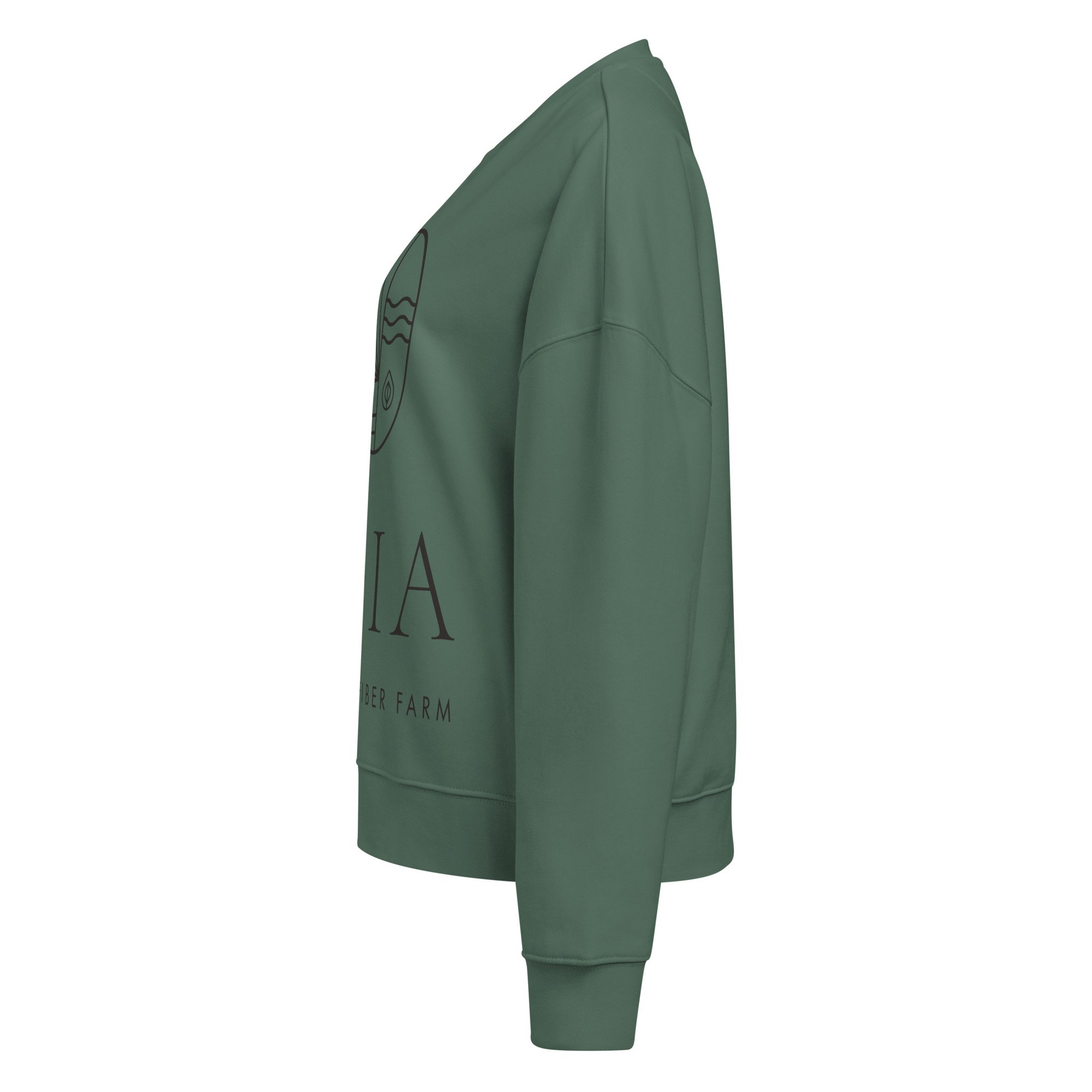 womens-organic-crew-neck-stella-alma-sweatshirt-green-bay-left-6abeee969b974.jpg