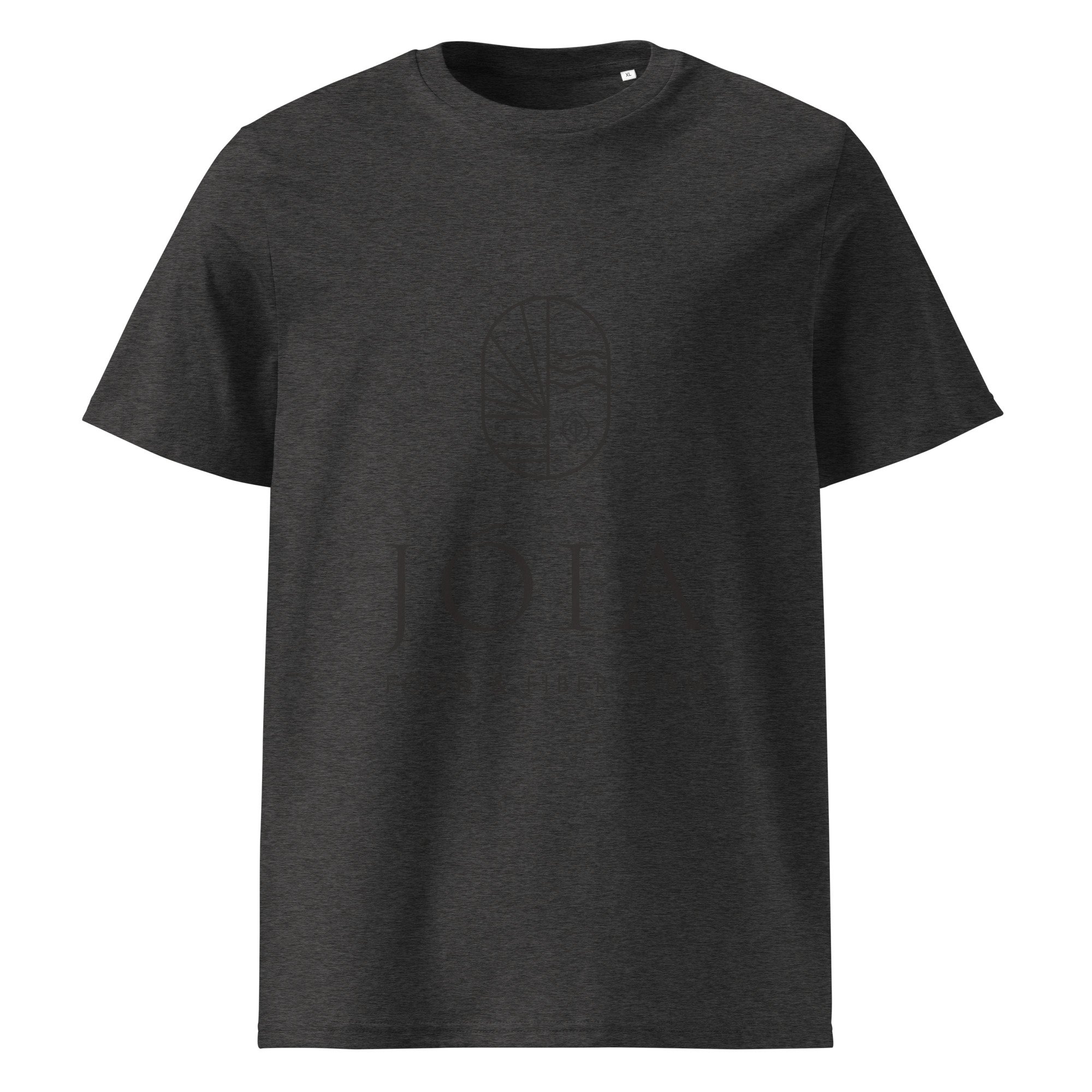 unisex-organic-cotton-creator-2.0-t-shirt-dark-heather-grey-front-6ac03c3c6b7d4.jpg