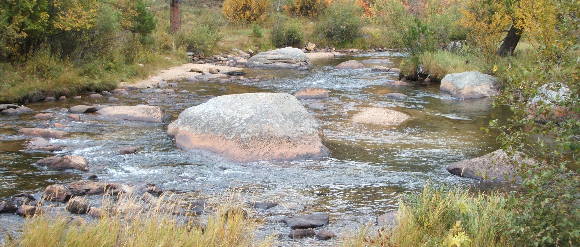   Using Nature's Wisdom for Health and Healing  