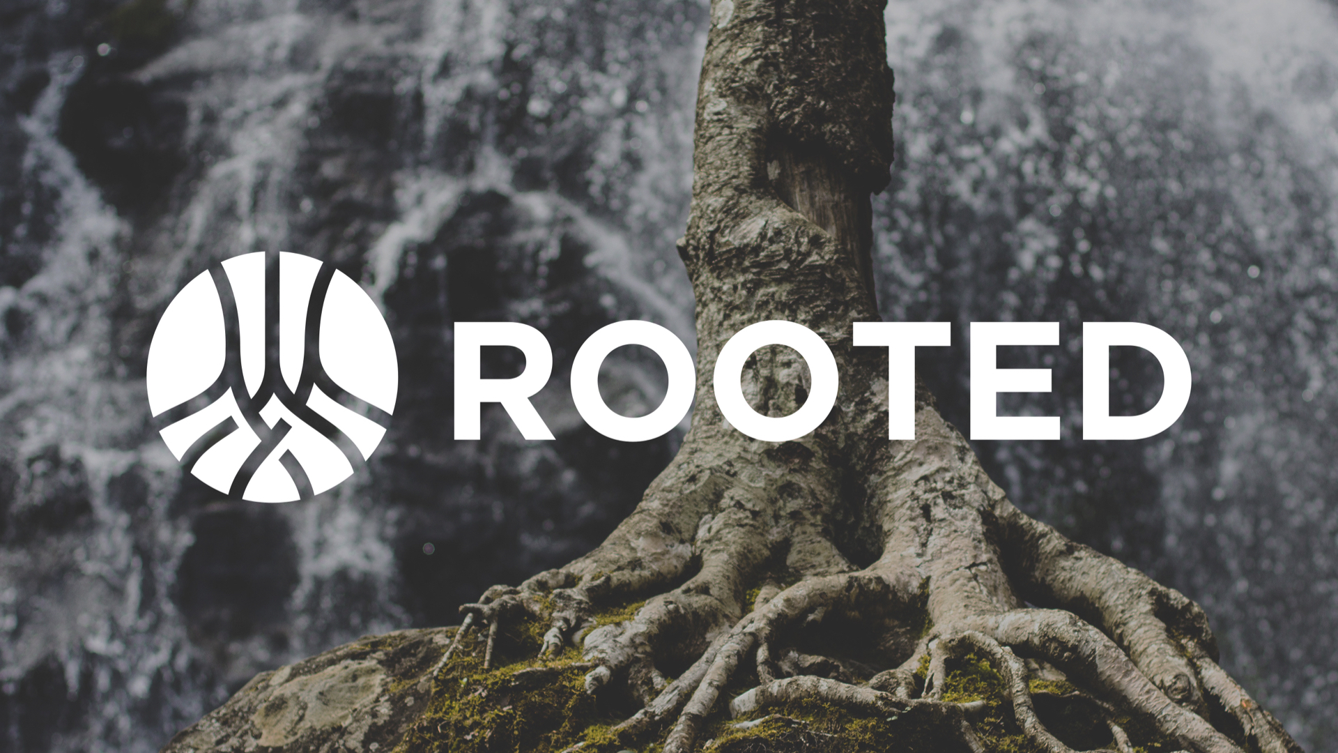 Rooted Facilitator Training.001.jpeg