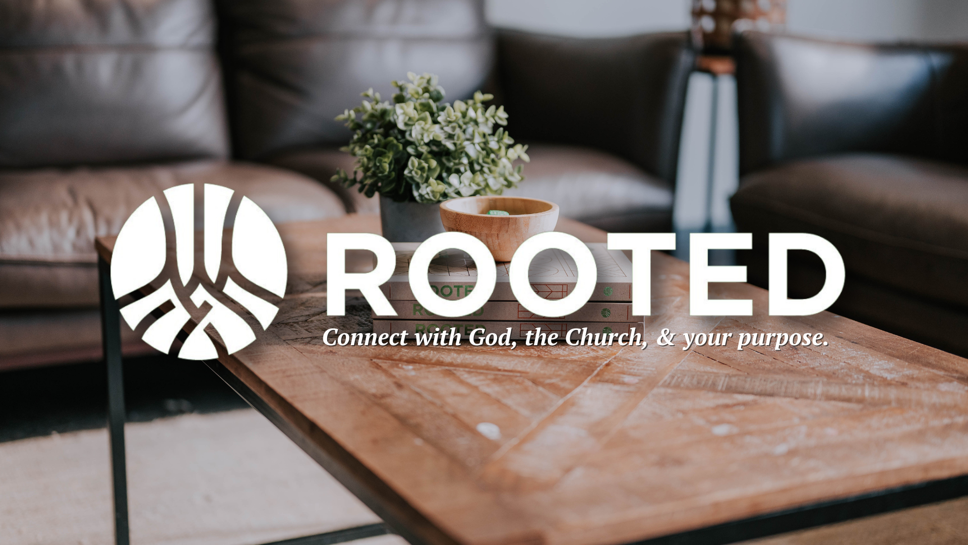 Rooted Summer Session