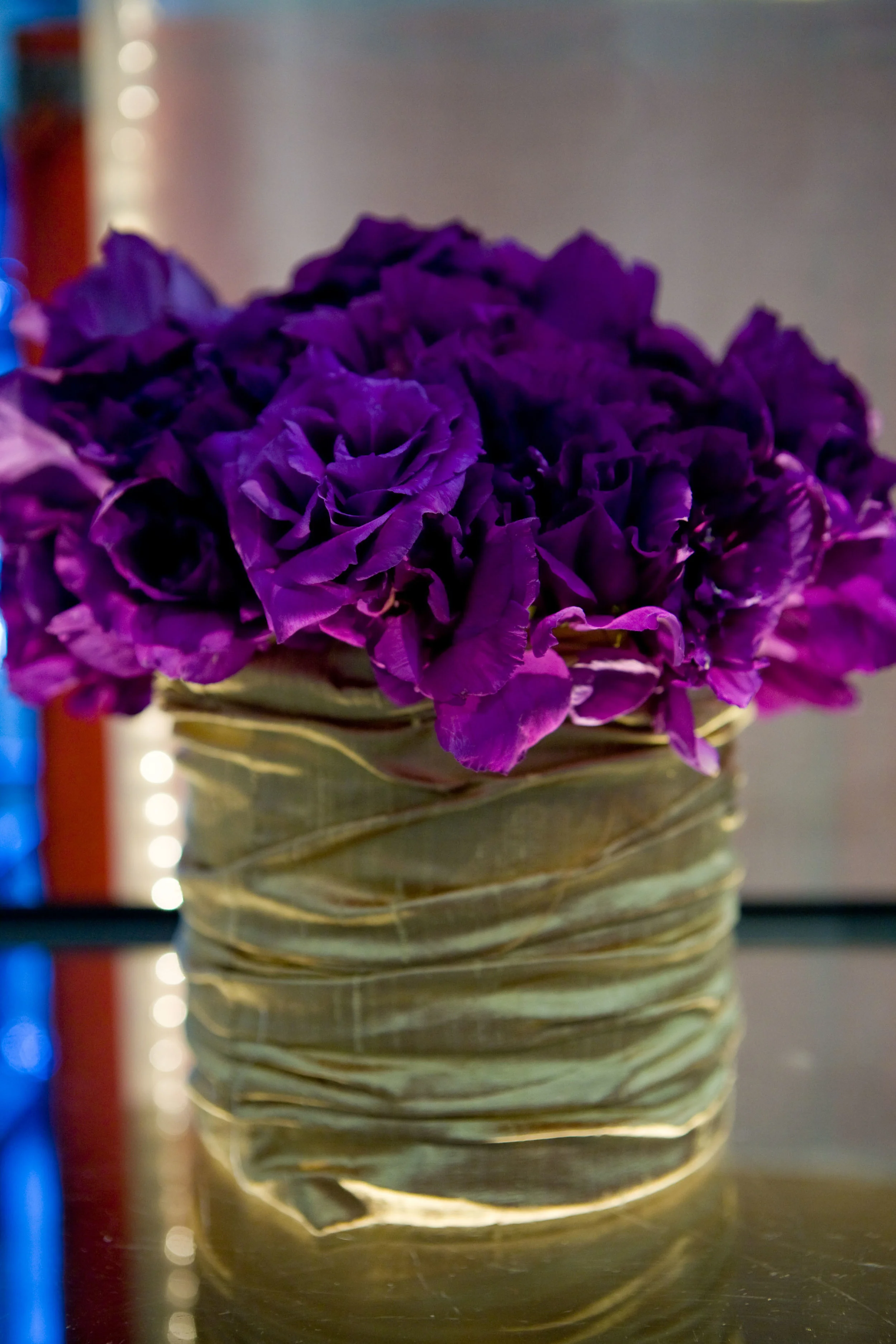 Arrowood Photography CD 033.jpg
