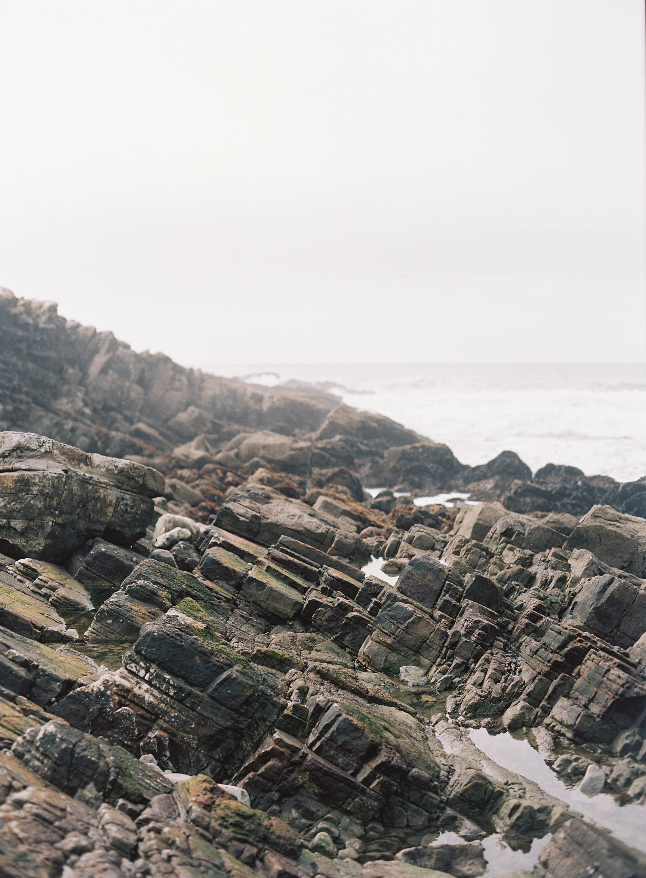 ©JOEYKENNEDY CEN-0079.jpg